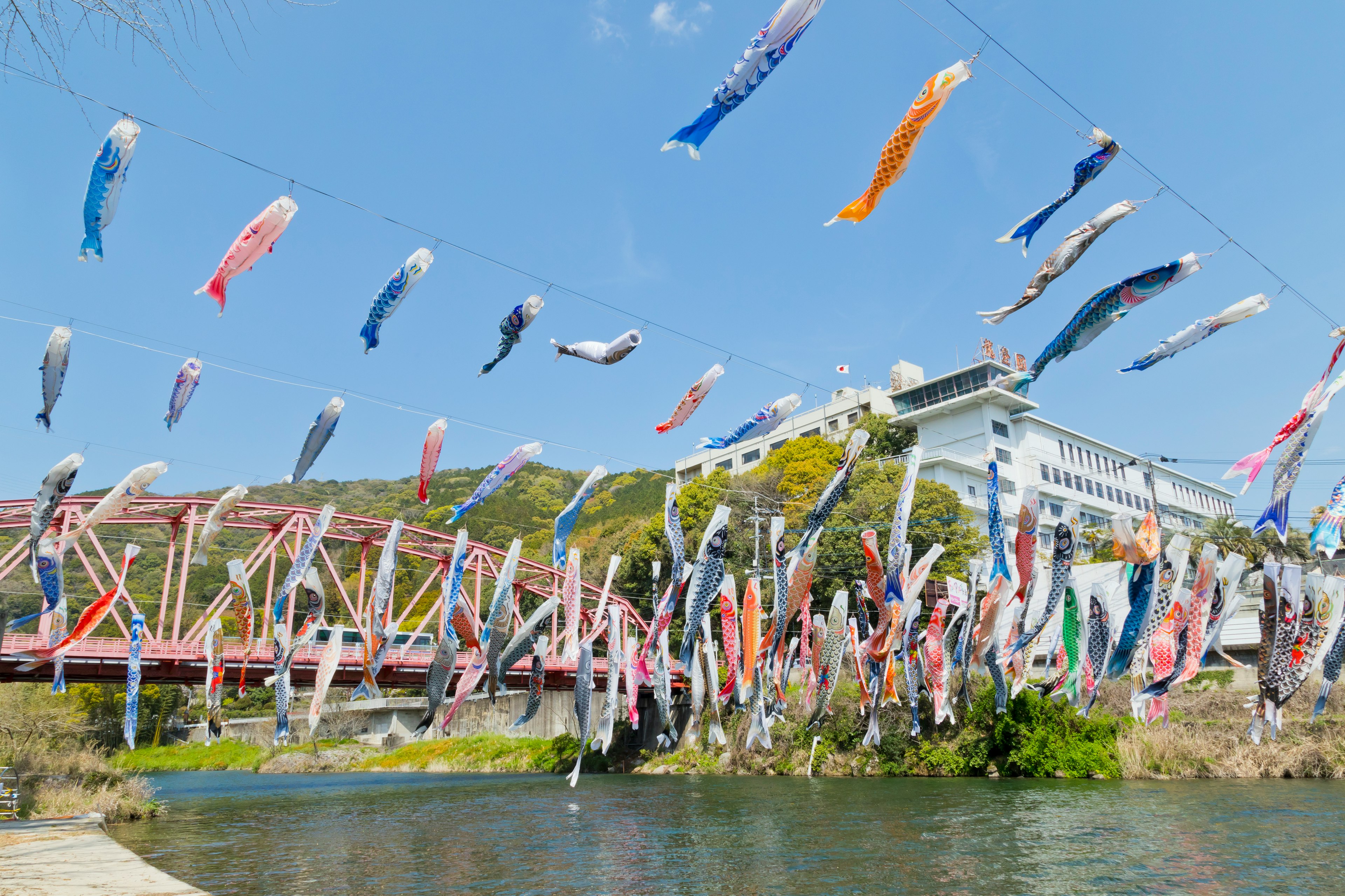 川に泳ぐ鯉のぼりが飾られた風景