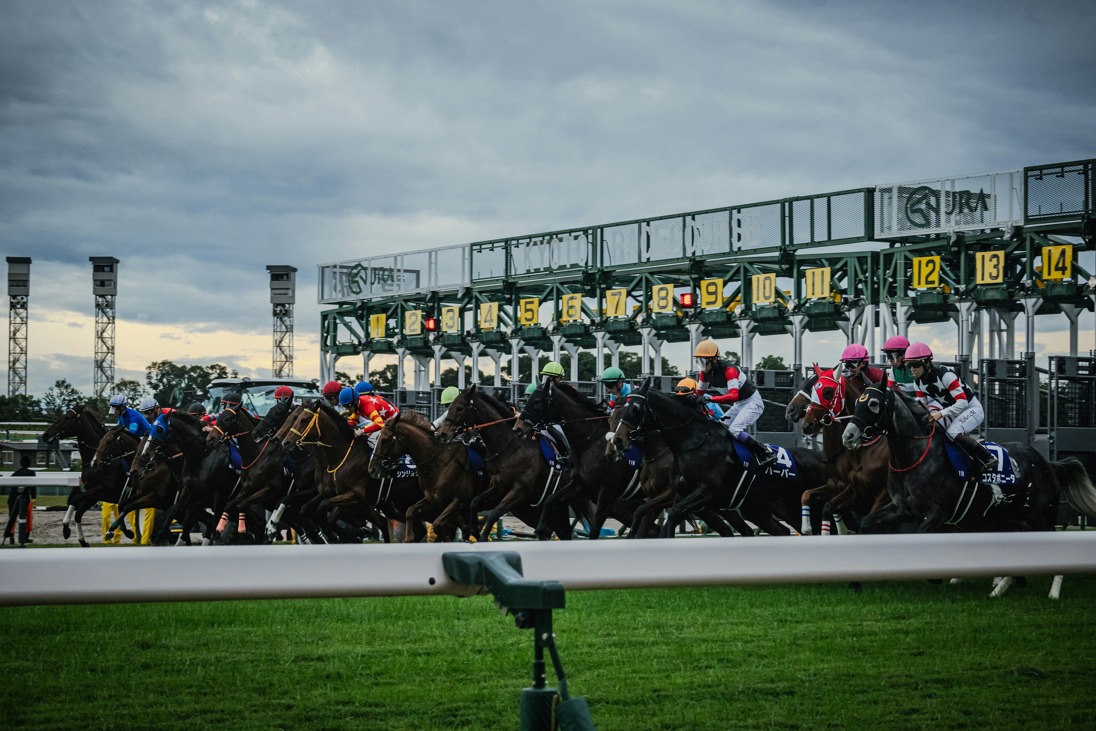 Horses and jockeys racing out of the starting gates in a thrilling moment