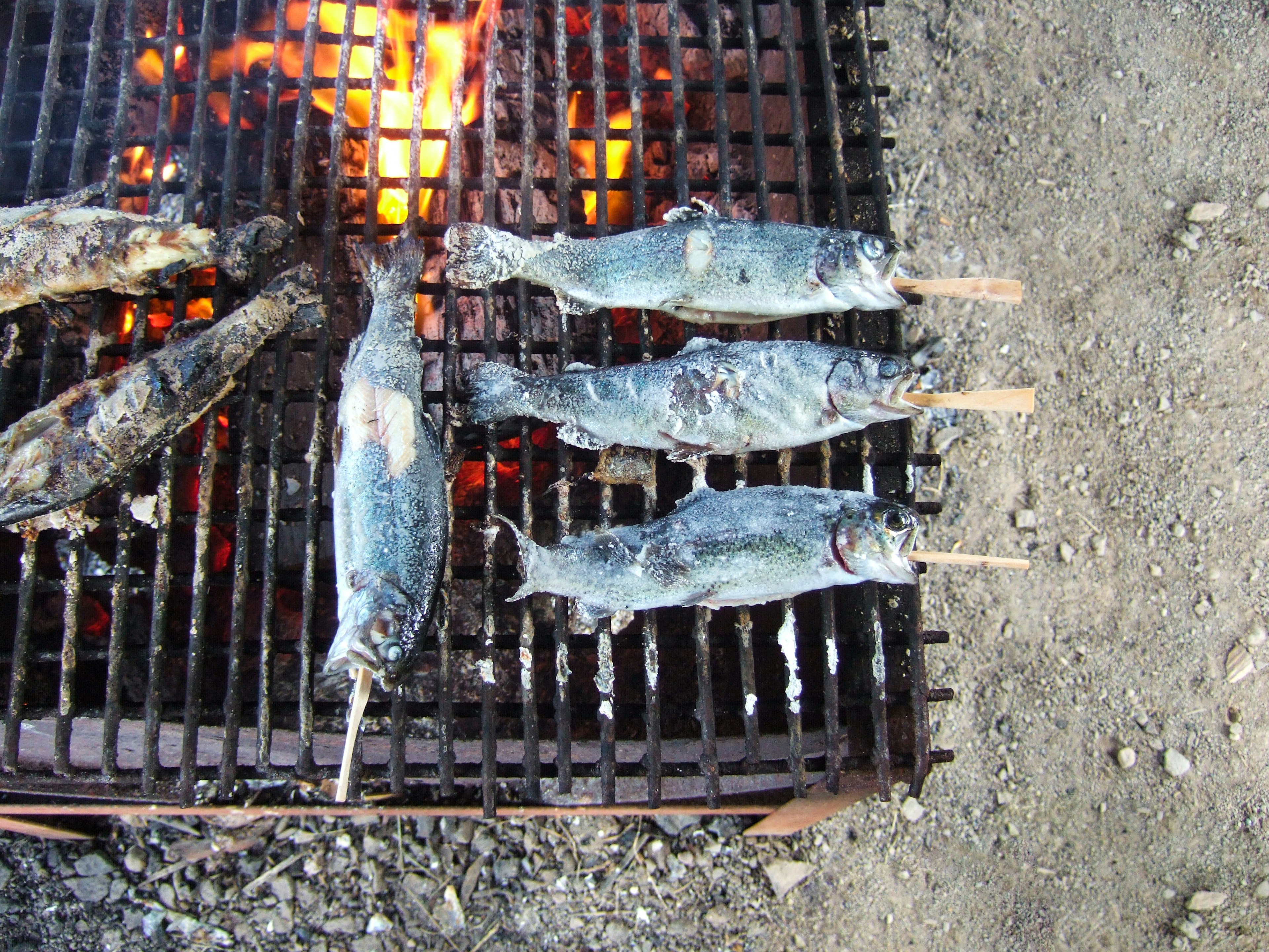 Gegrillte Fischspieße, die über einer offenen Flamme auf einem Metallgitter kochen