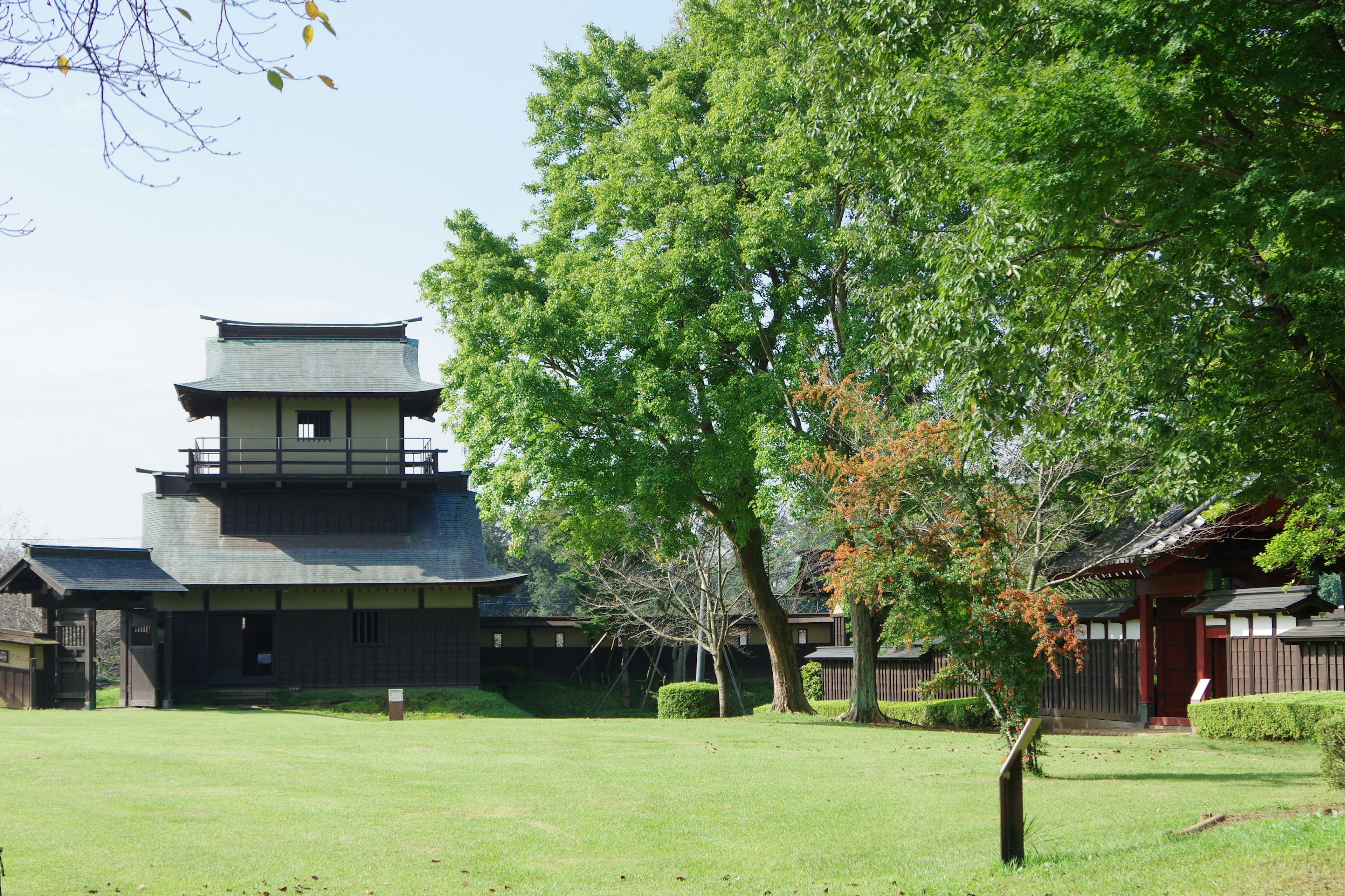 Château japonais entouré de verdure dans un parc