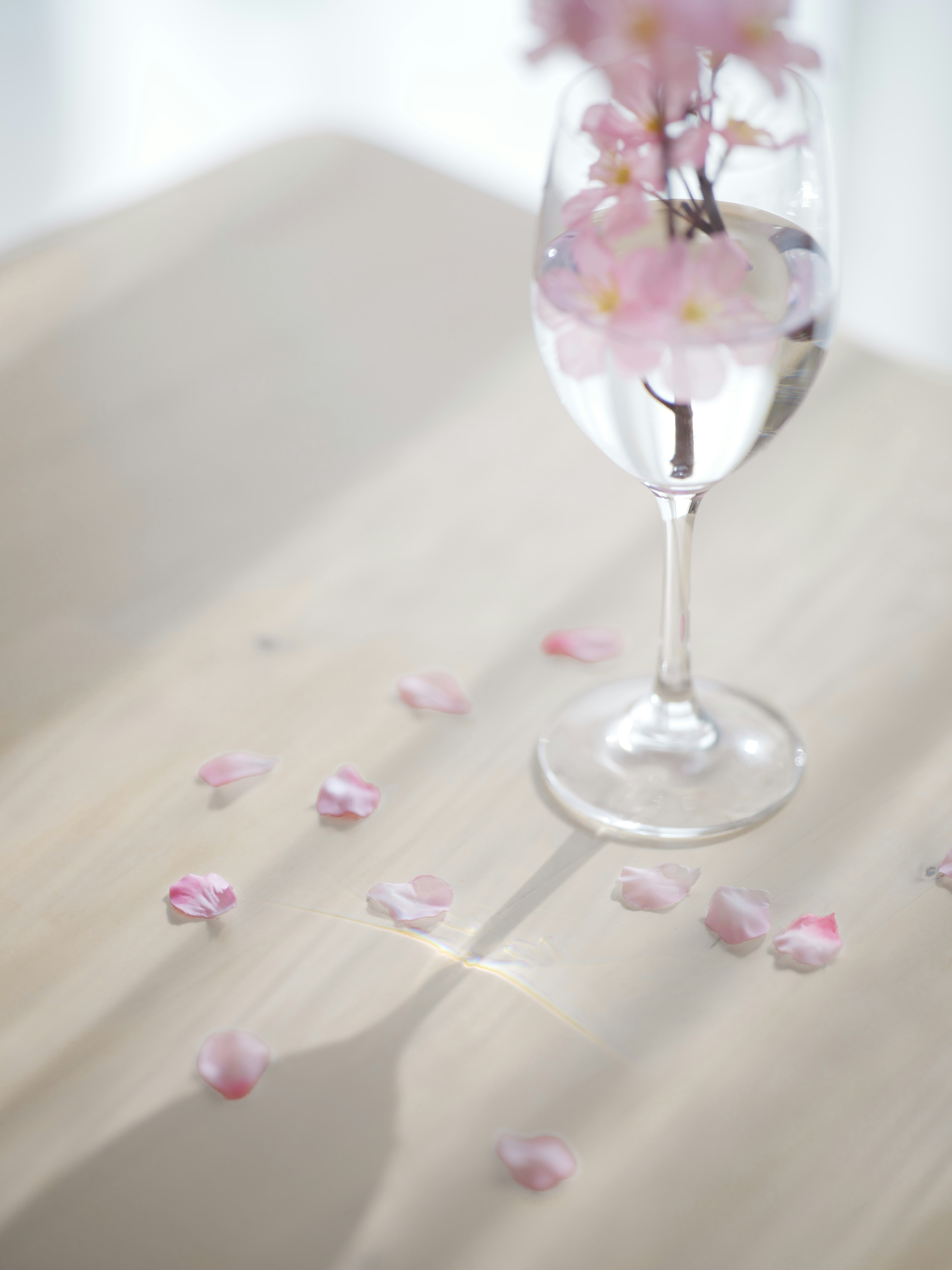 A serene scene with cherry blossoms floating in a clear glass