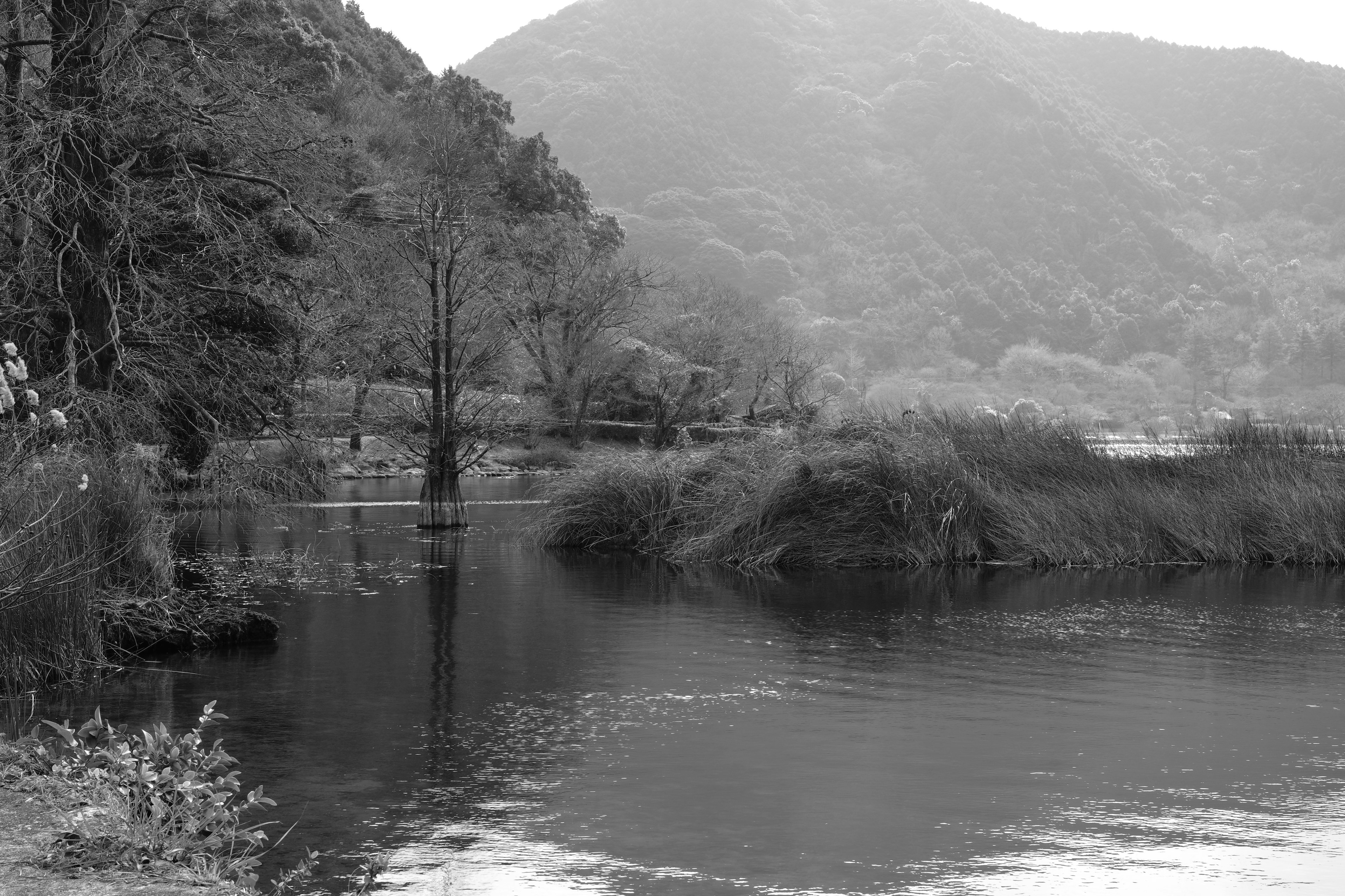 A tranquil lake and mountain landscape in monochrome