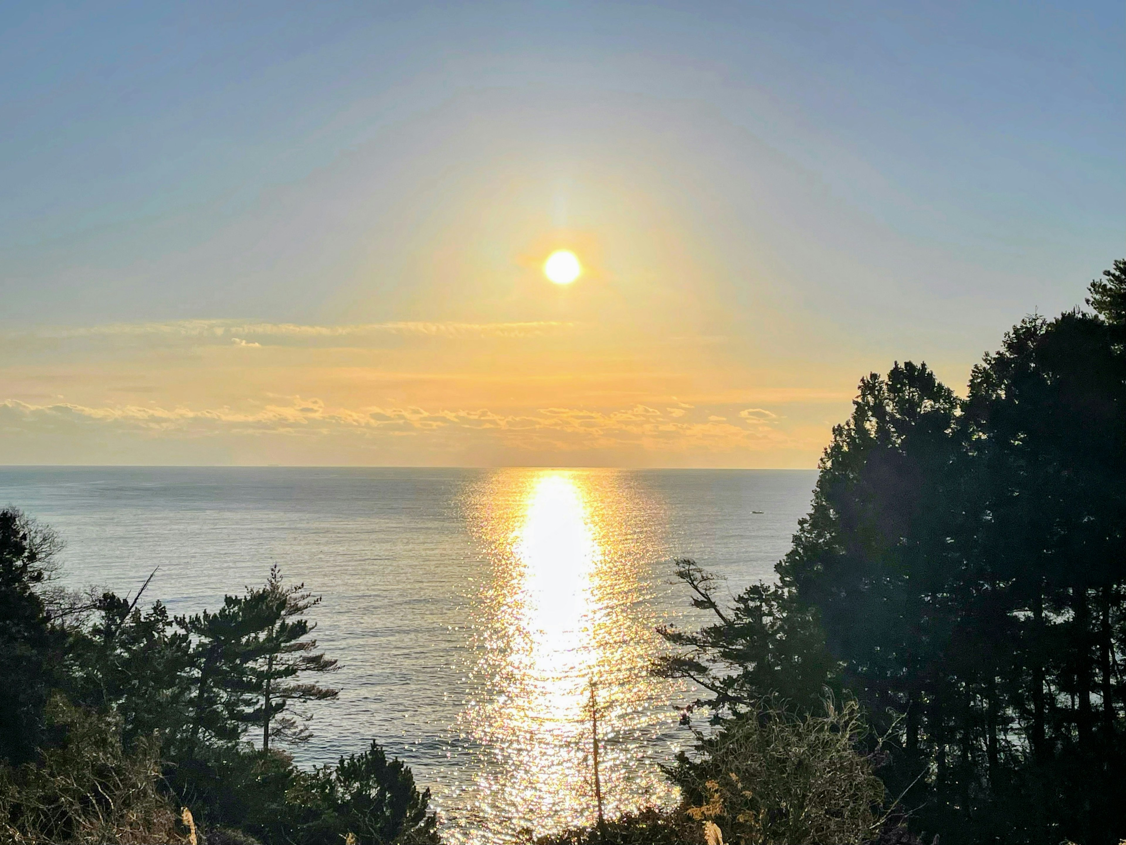 Silueta de árboles con el sol poniéndose sobre el océano y sus reflejos