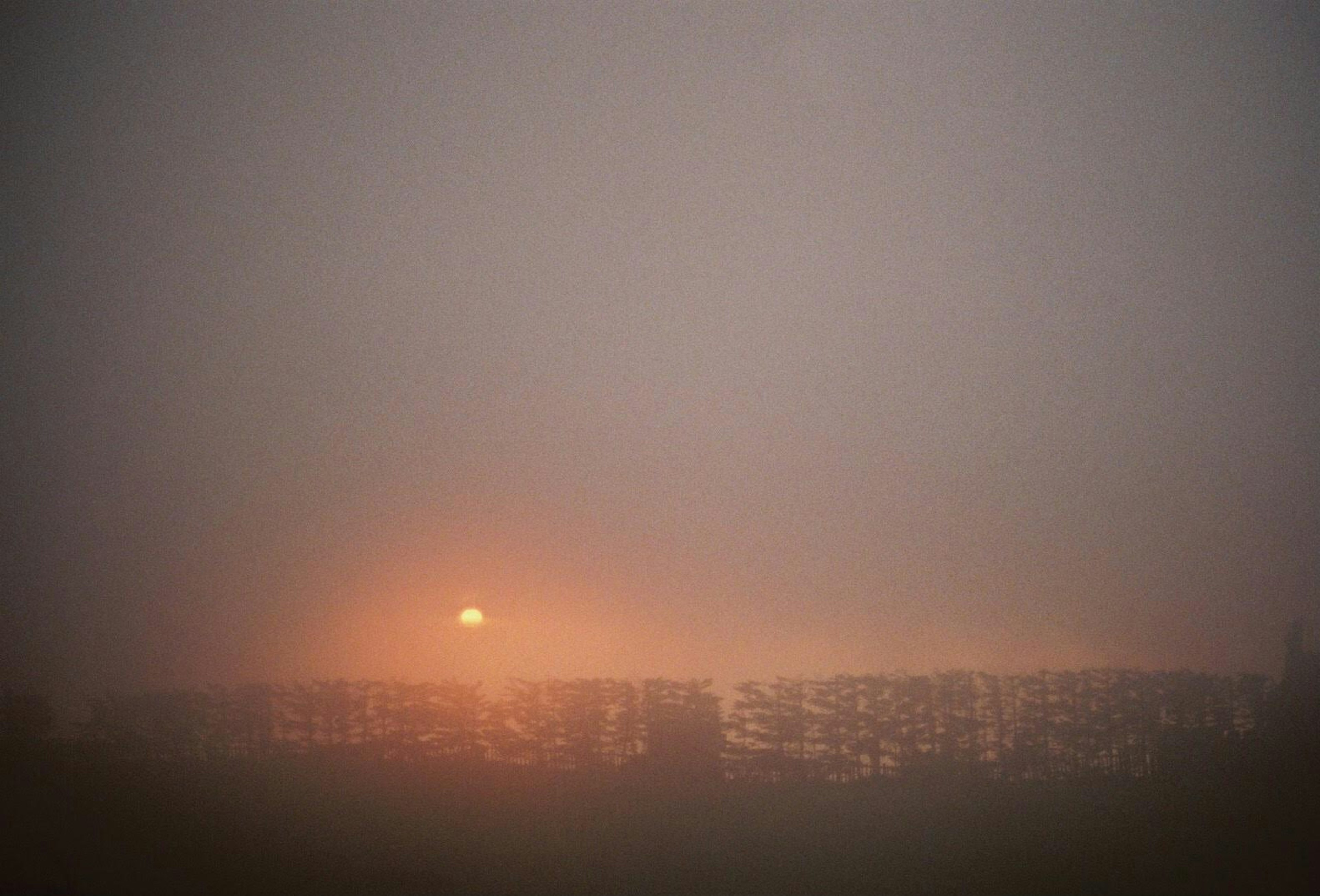 Sonnenuntergang durch Nebel mit silhouettierter Landschaft