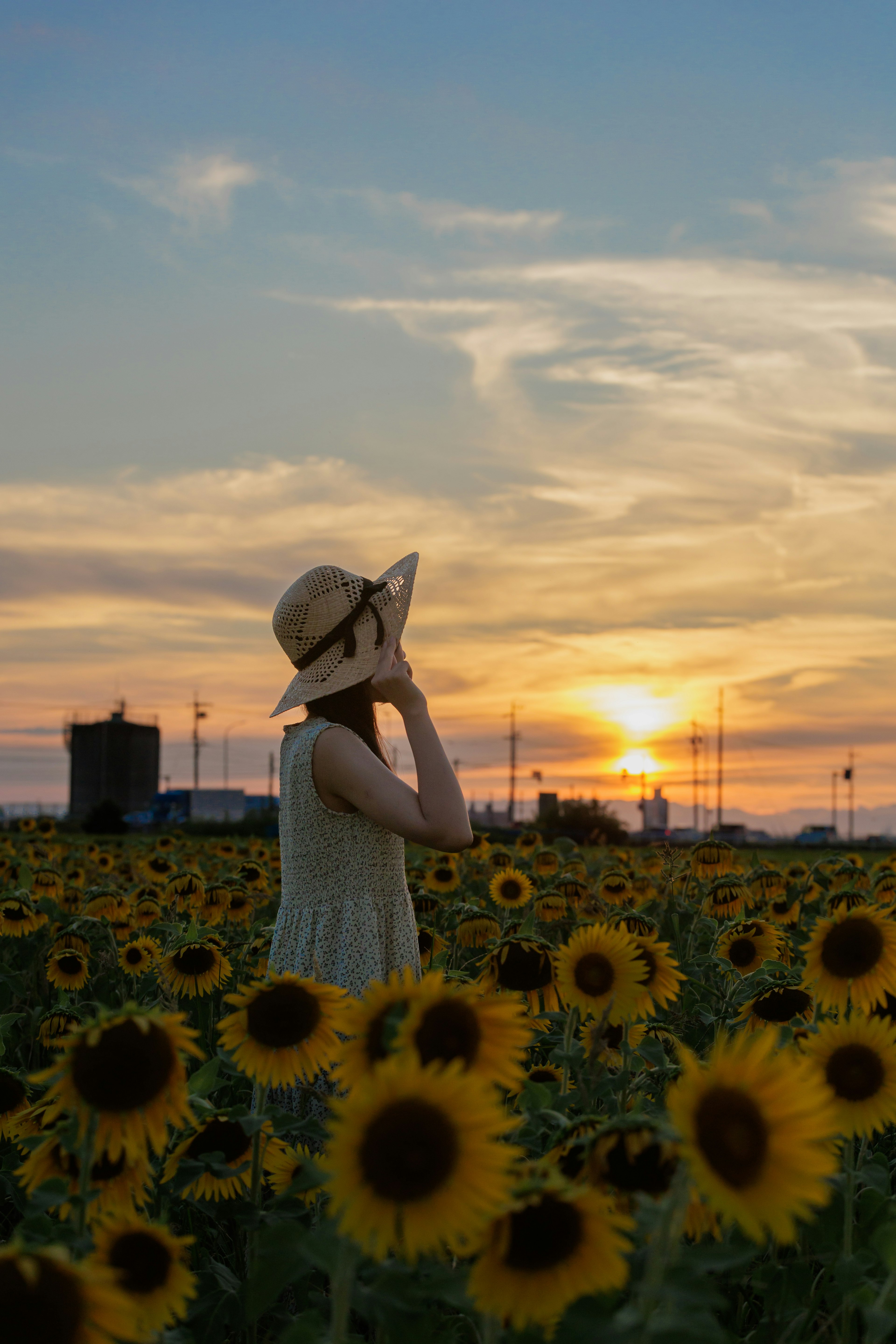 夕日を背にしたひまわり畑の中で帽子をかぶった女性