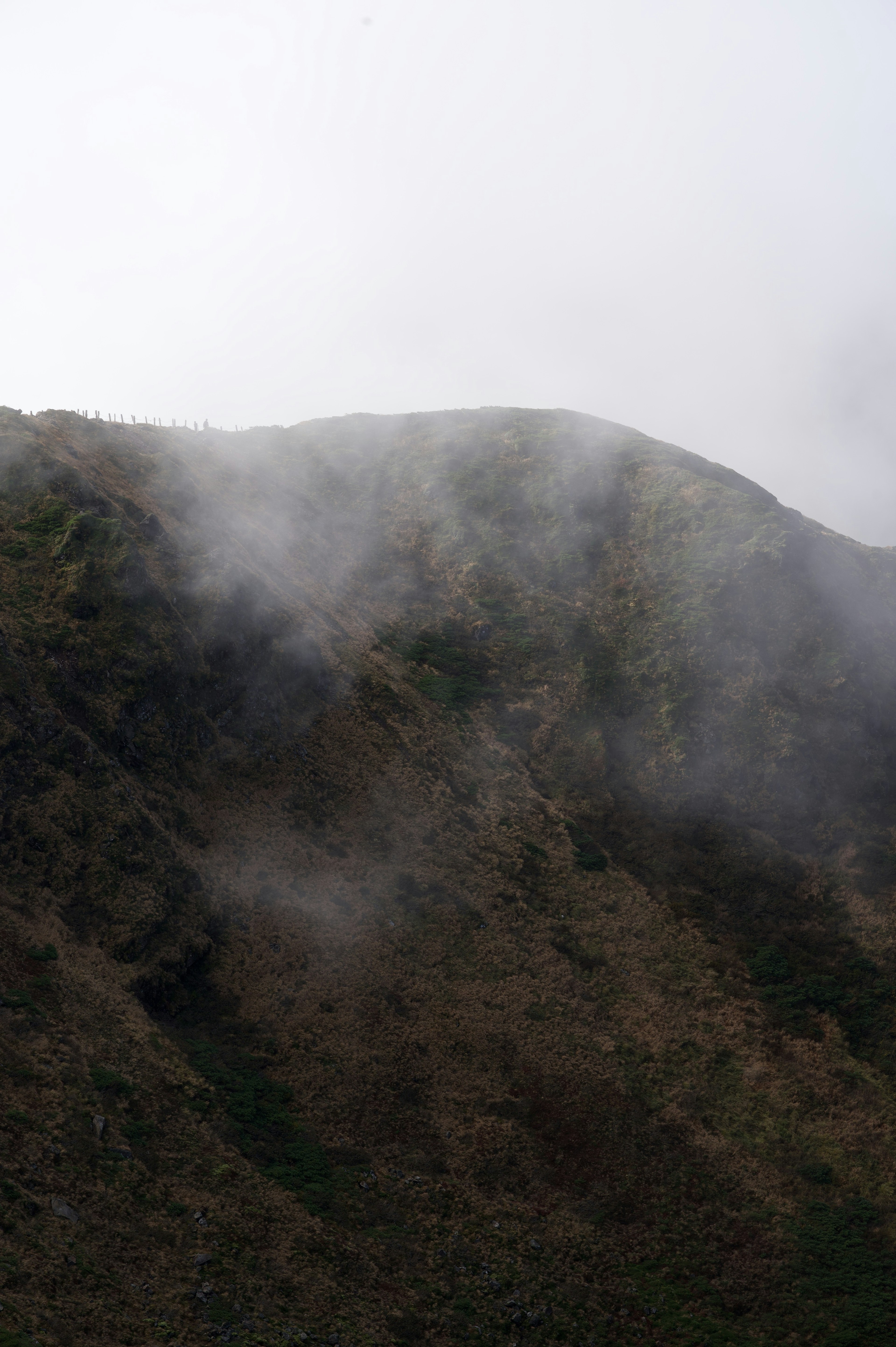 Pendiente de montaña cubierta de niebla con terreno accidentado