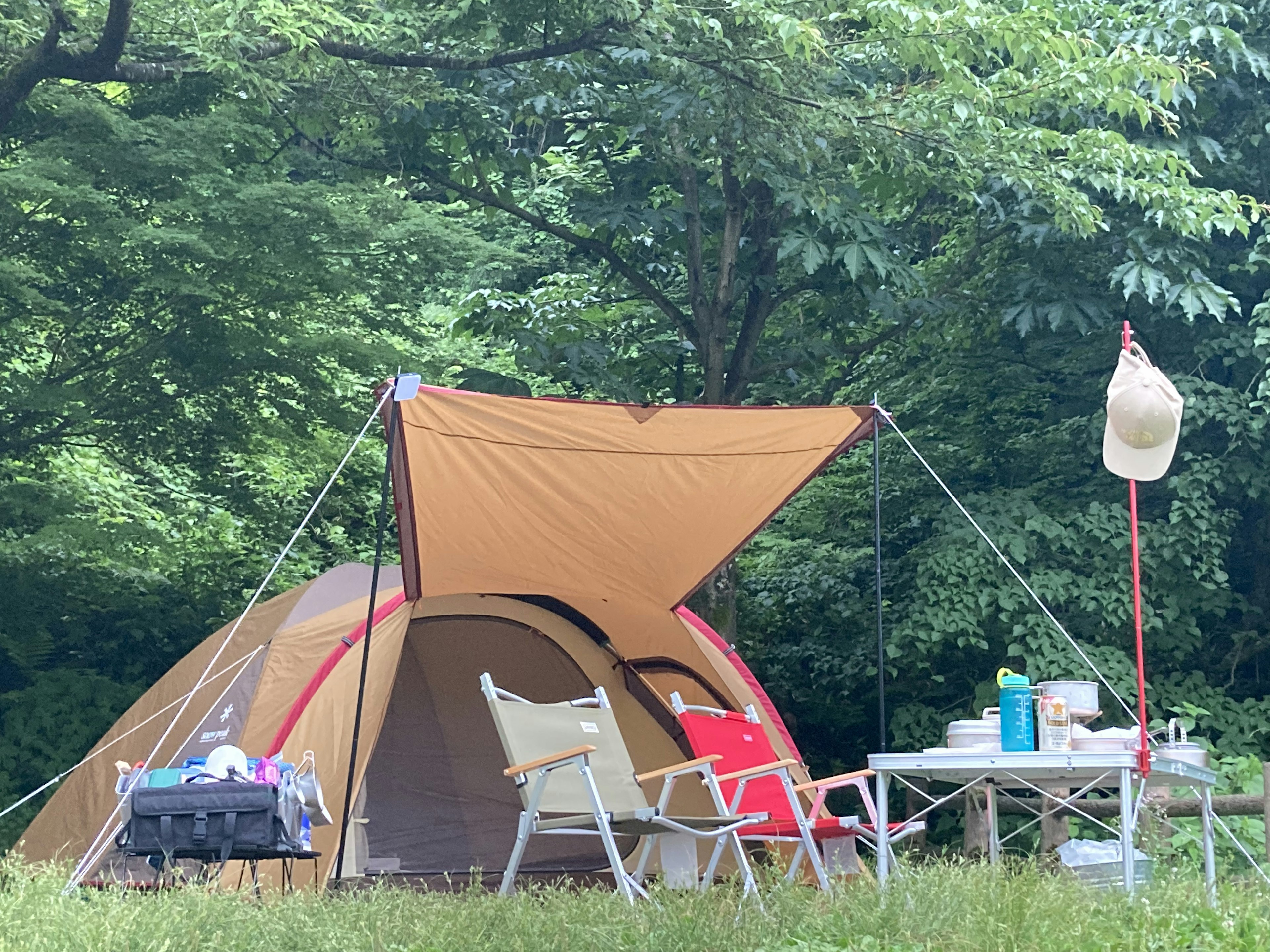 Tente de camping entourée d'arbres verts avec mobilier d'extérieur