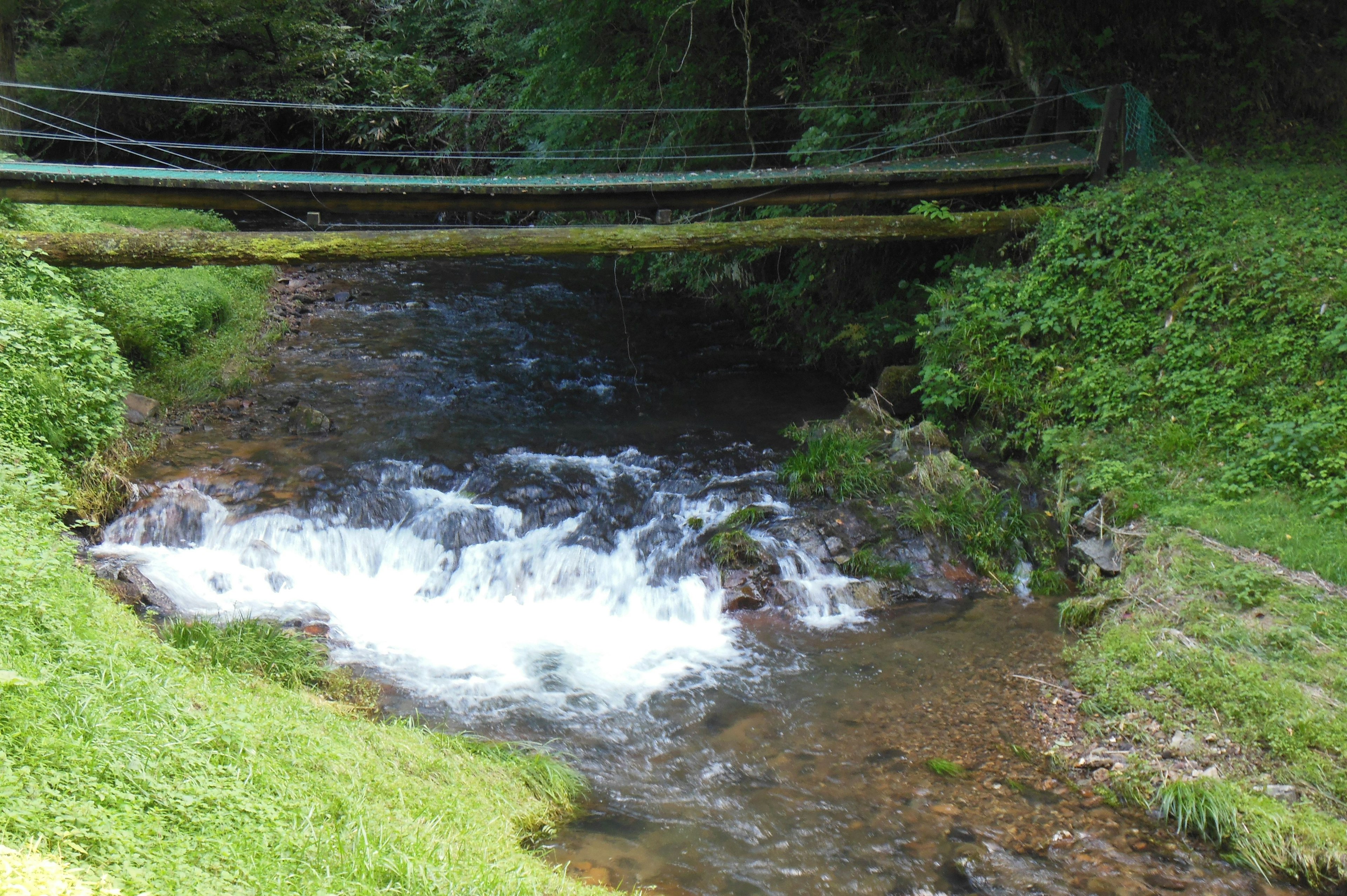 Un petit ruisseau entouré d'herbe verte avec un pont en bois au-dessus