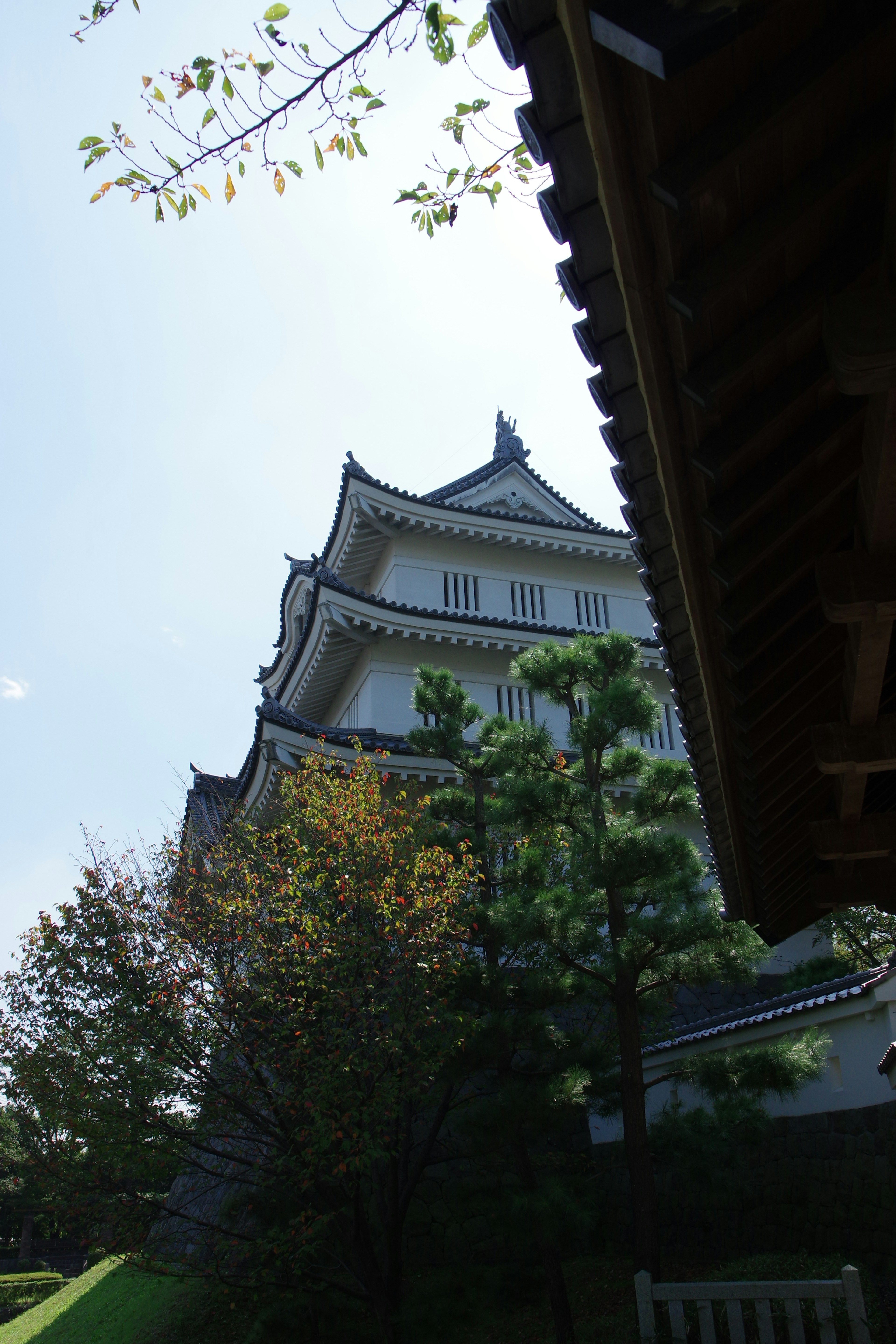 View of a castle with surrounding nature