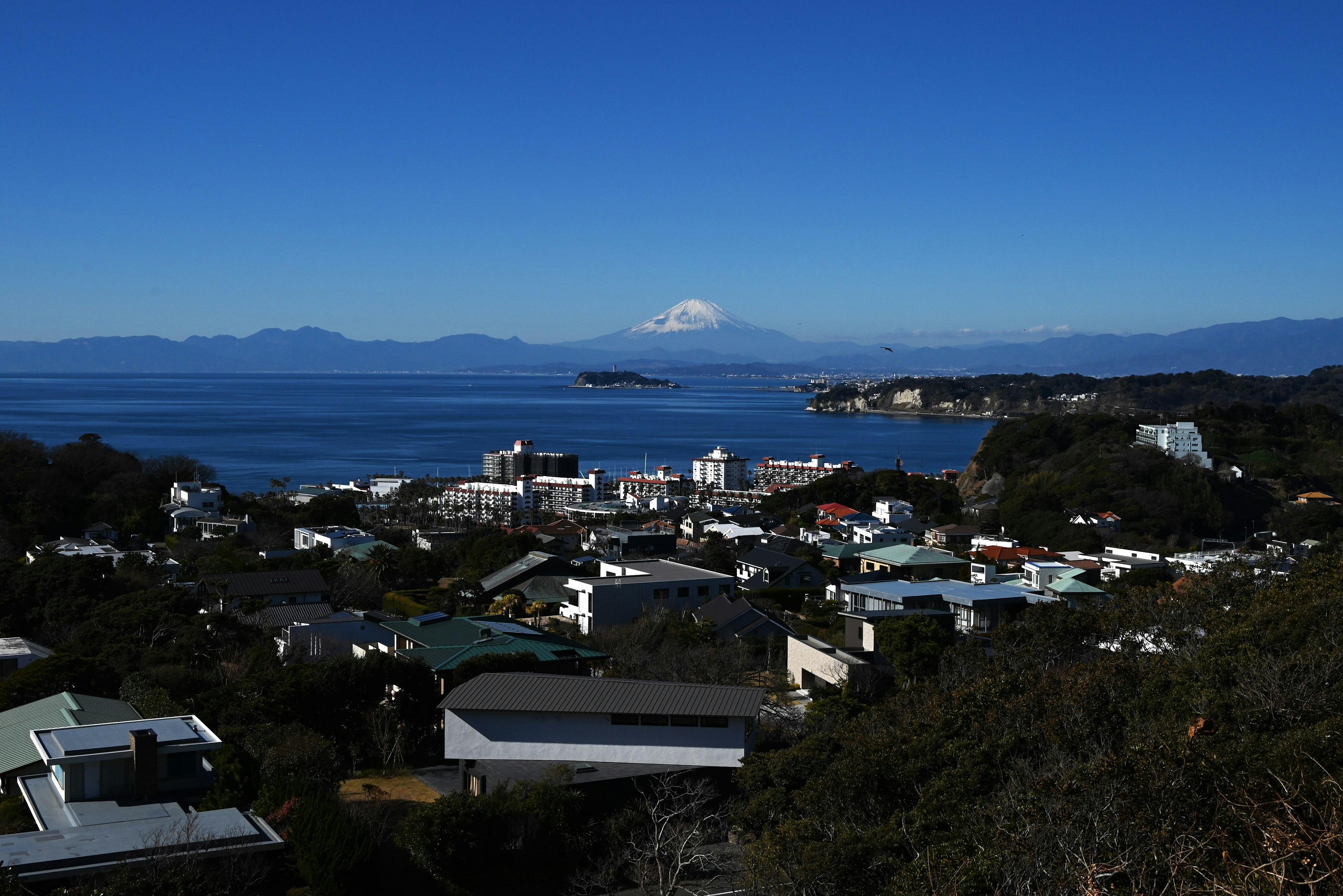 壮观的海岸景观，背景是富士山