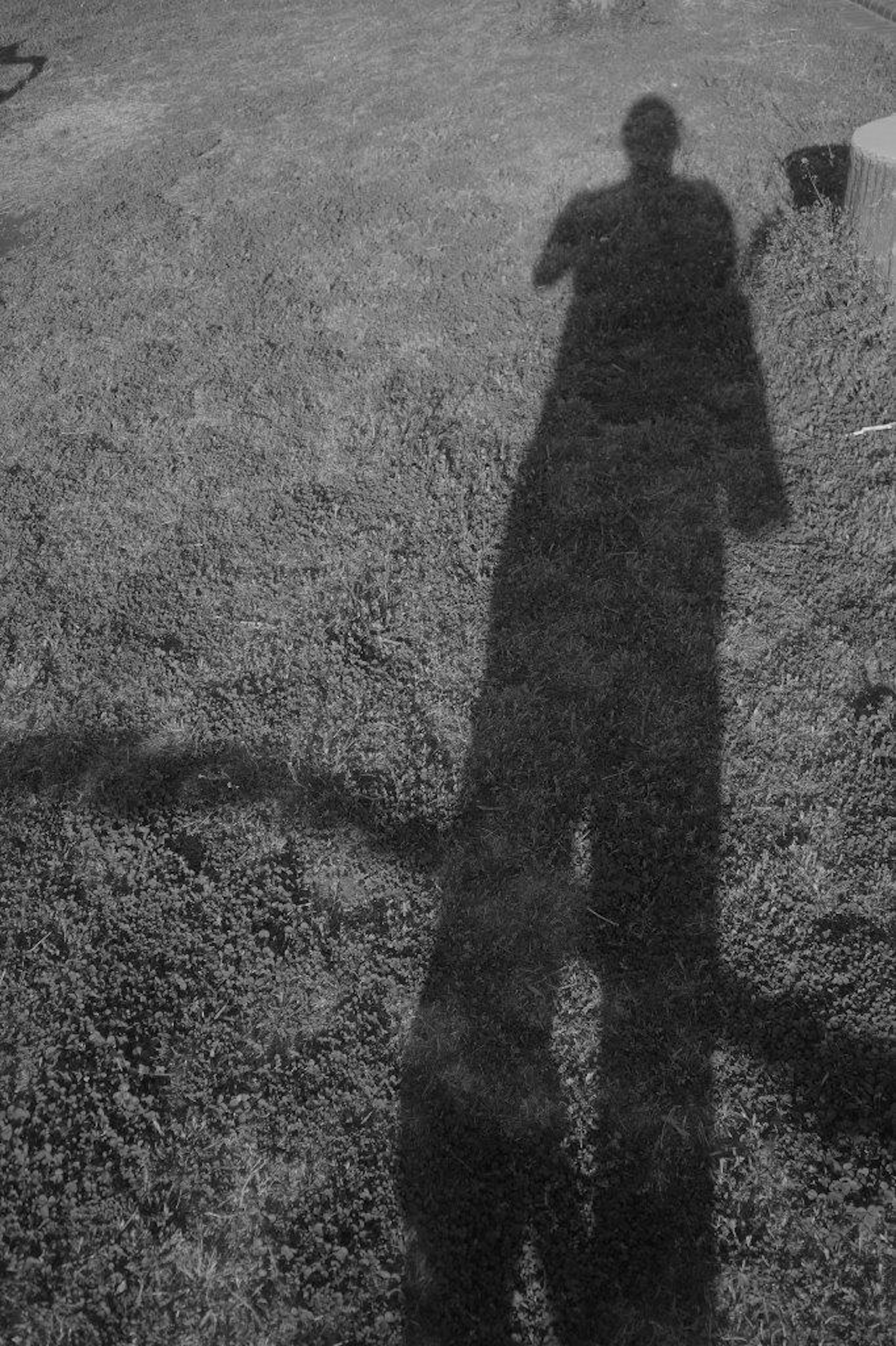 Black and white image of a shadow cast on grass