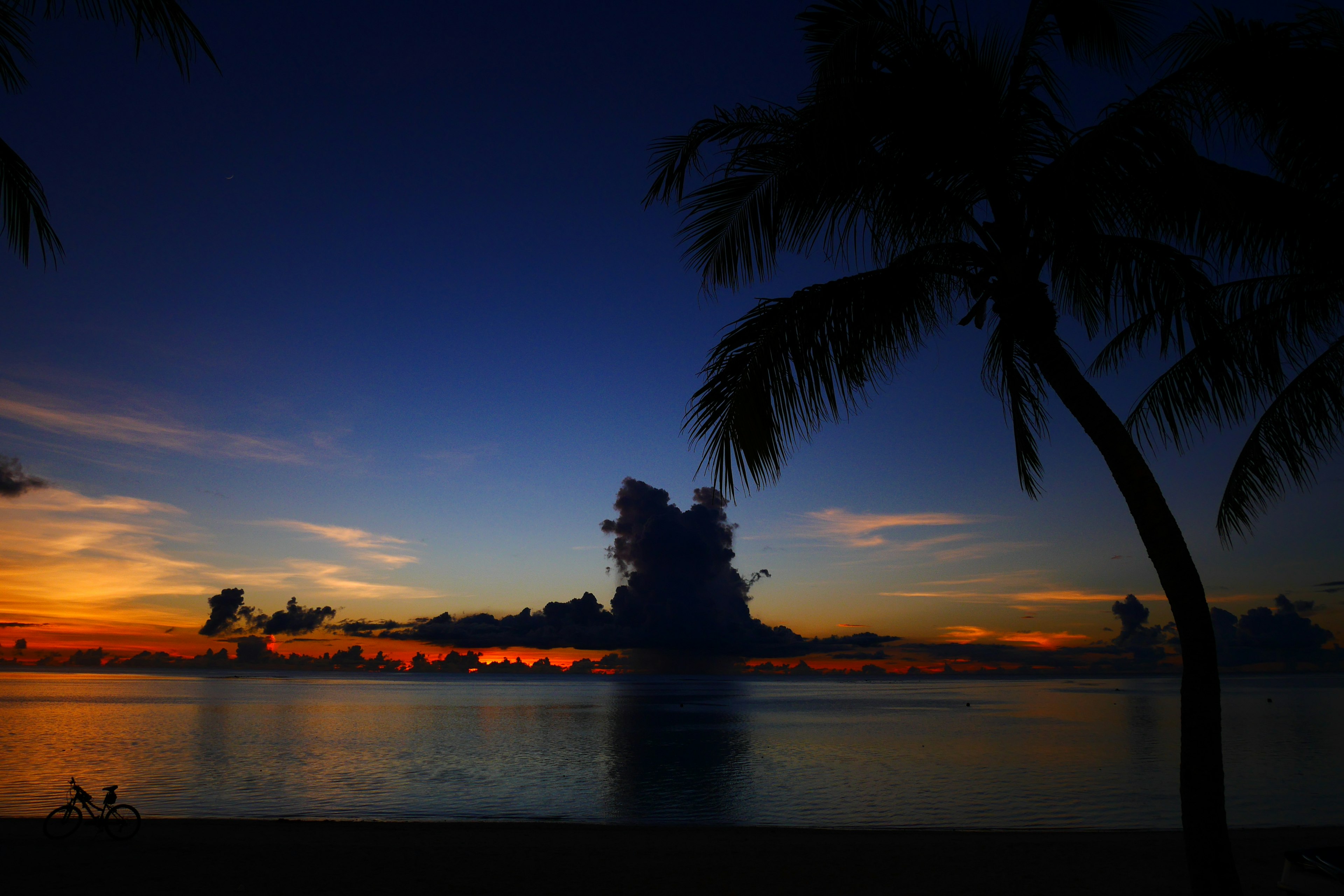 Sonnenuntergang über dem Ozean mit blauem und orangefarbenem Himmel und Palmen