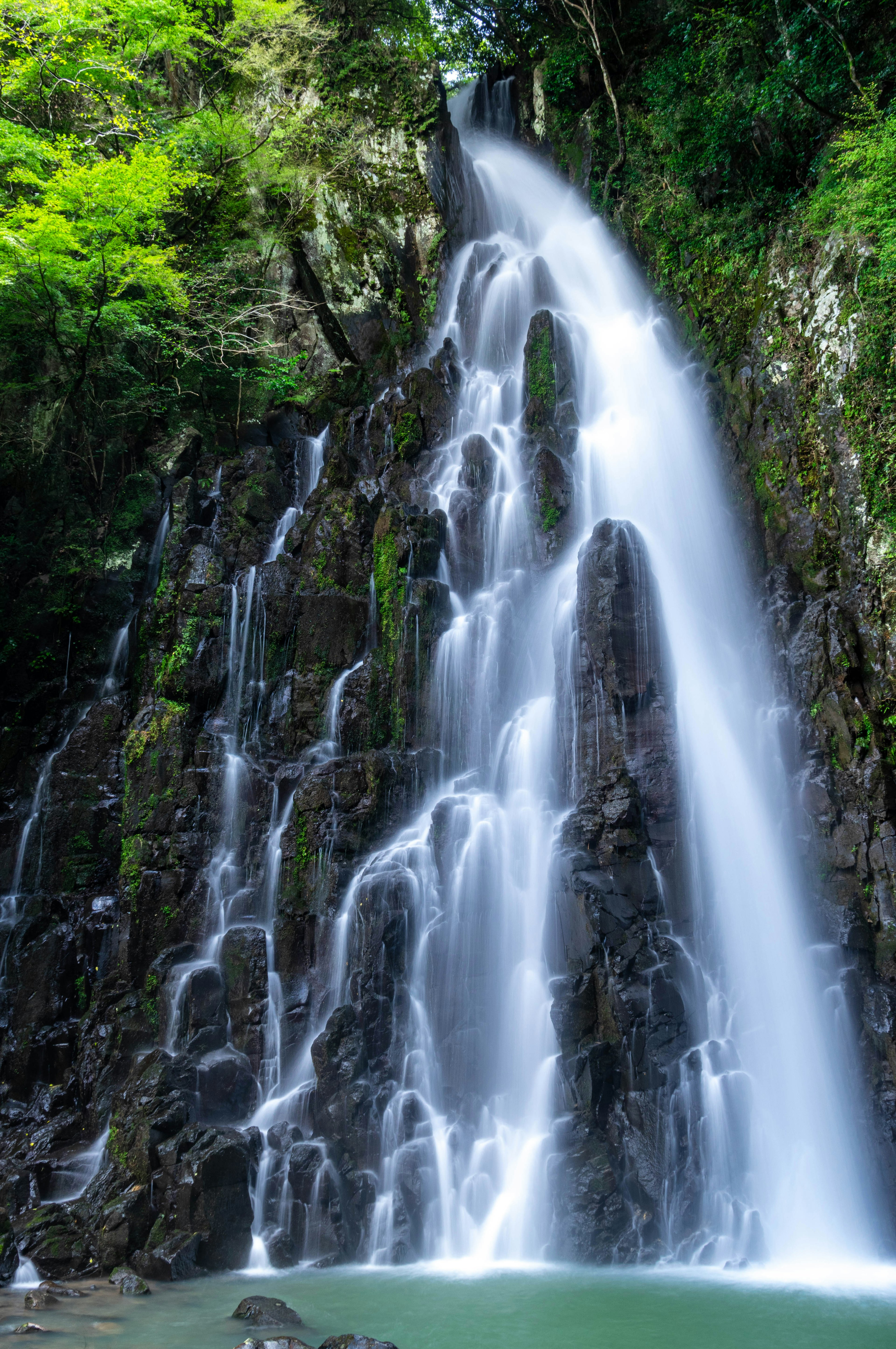 Pemandangan indah air terjun dikelilingi oleh vegetasi yang subur