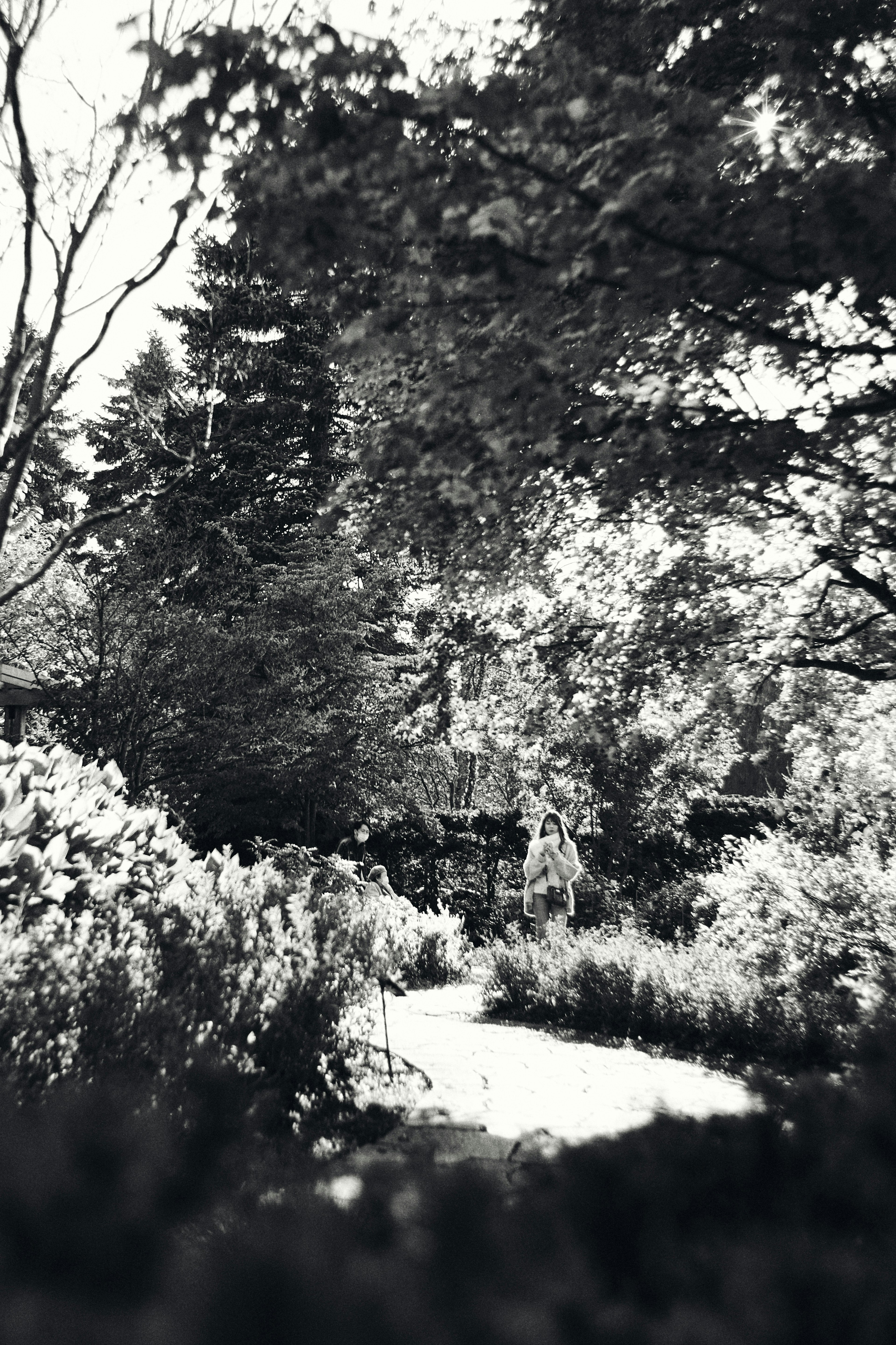 Scena di giardino in bianco e nero con alberi rigogliosi e fiori in fiore in un ambiente sereno