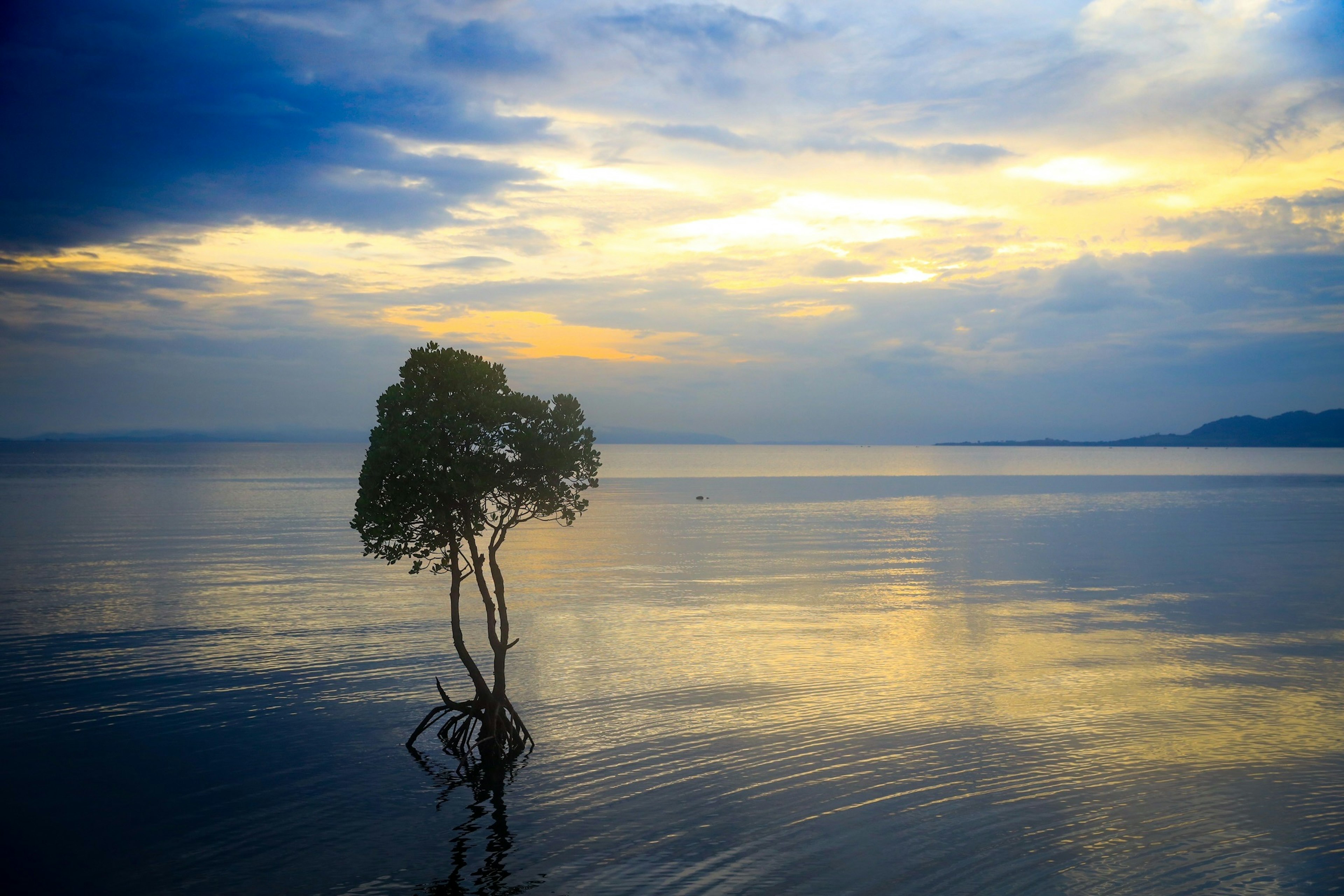 Ein einsamer Baum steht in ruhigem Wasser mit einem schönen Sonnenuntergangshimmel