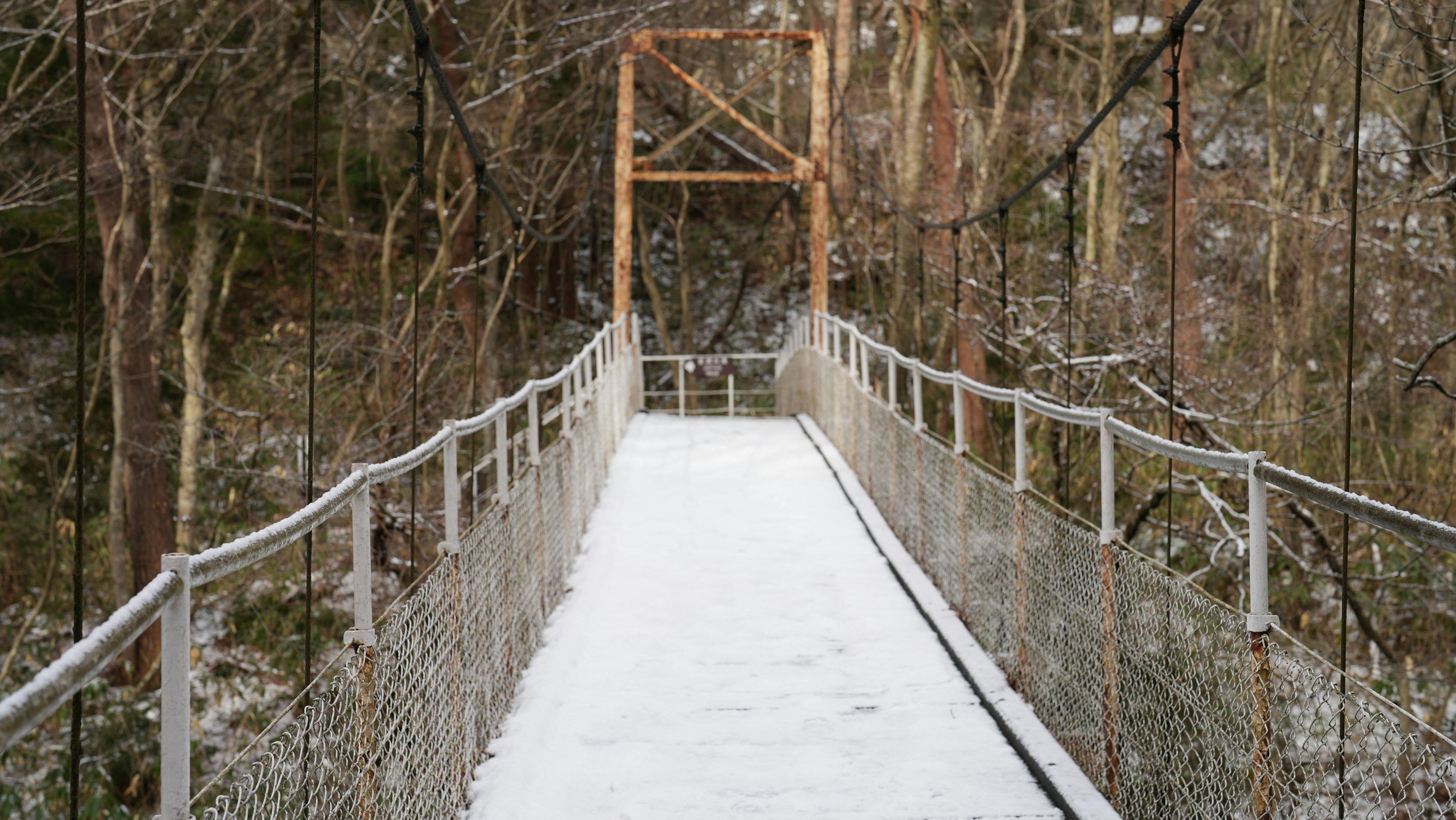 Hängende Brücke, bedeckt mit Schnee, umgeben von Bäumen