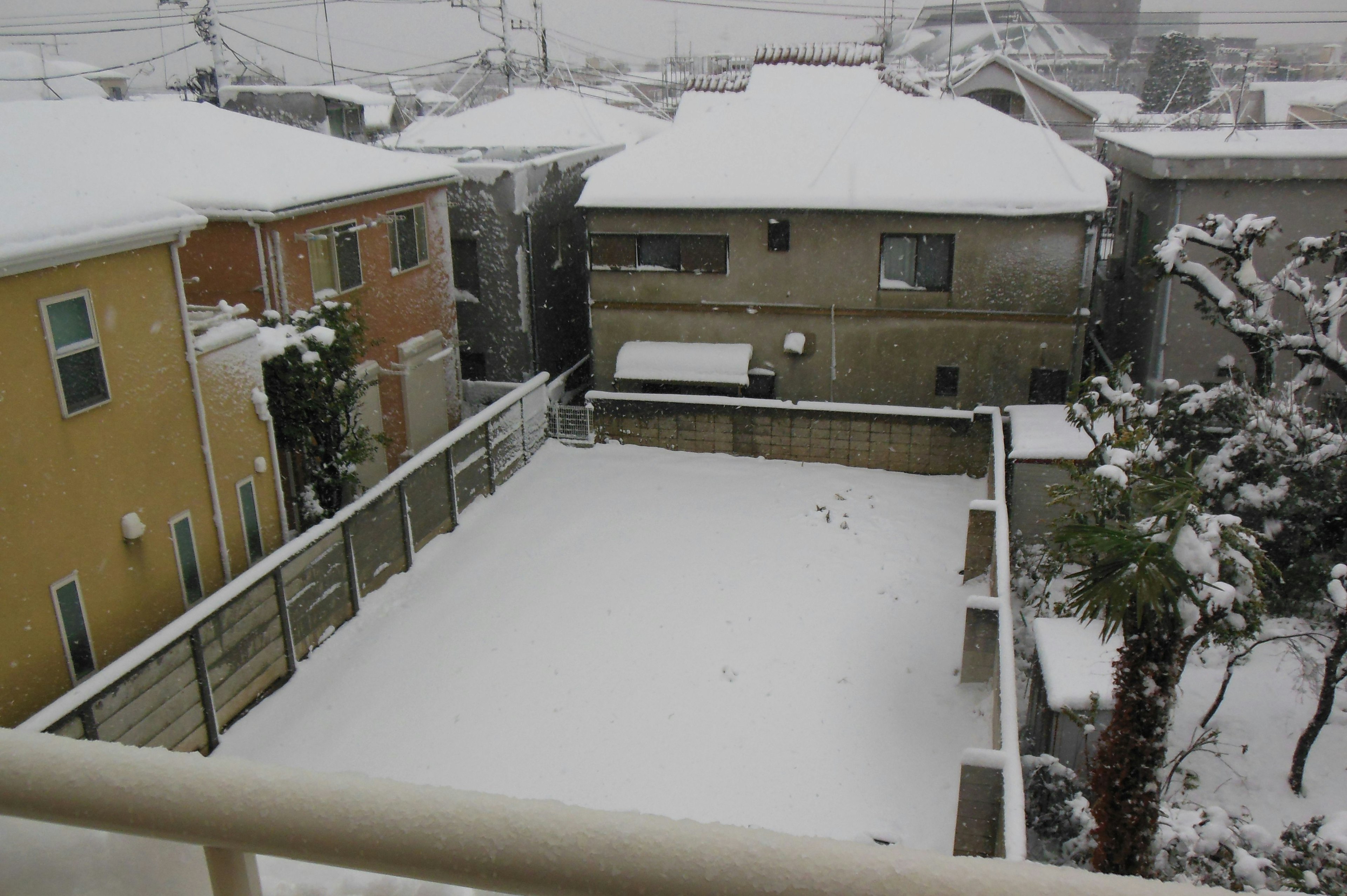 Snow-covered yard and surrounding houses view