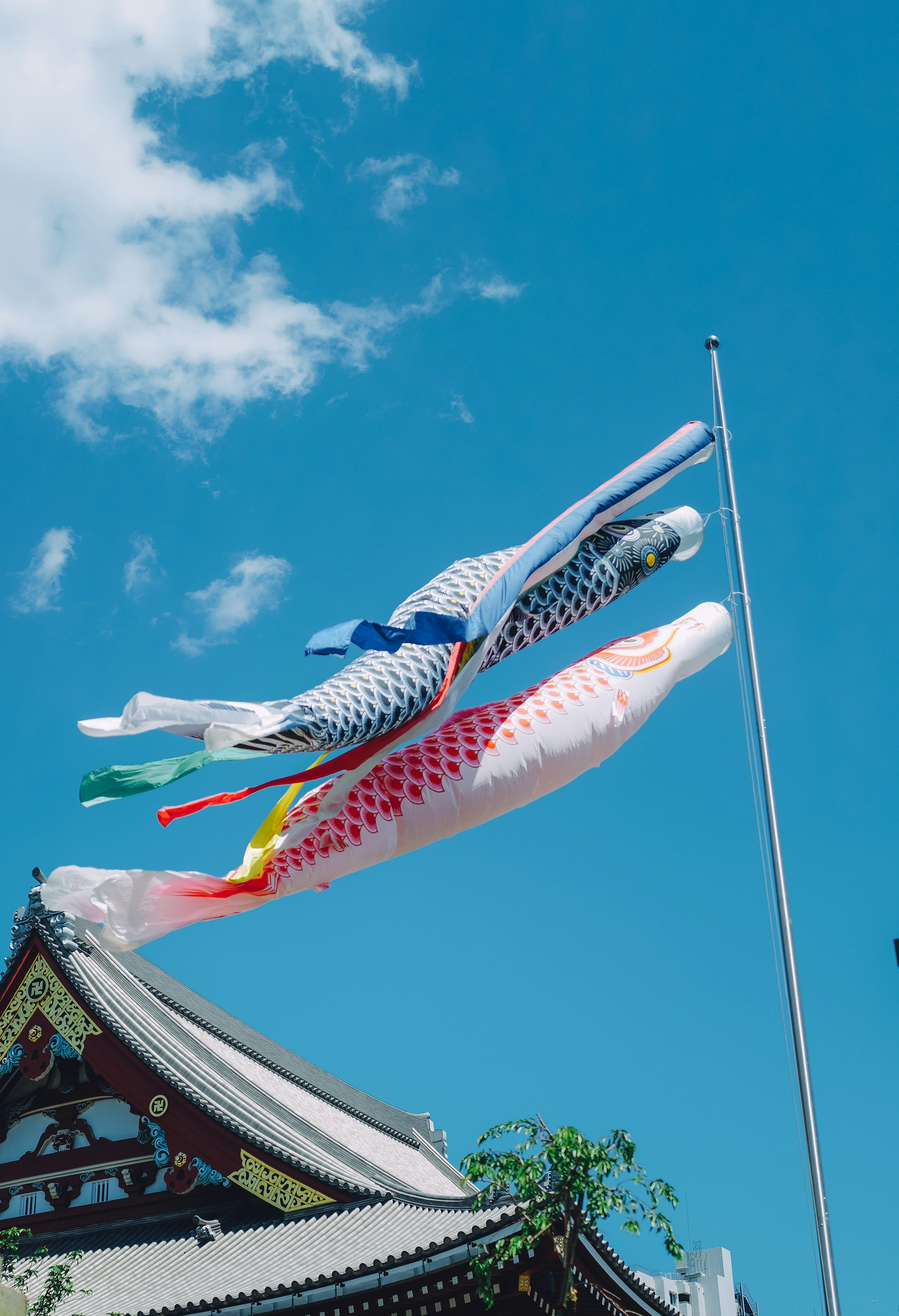 青空の下で泳ぐ鯉のぼりと寺院の屋根