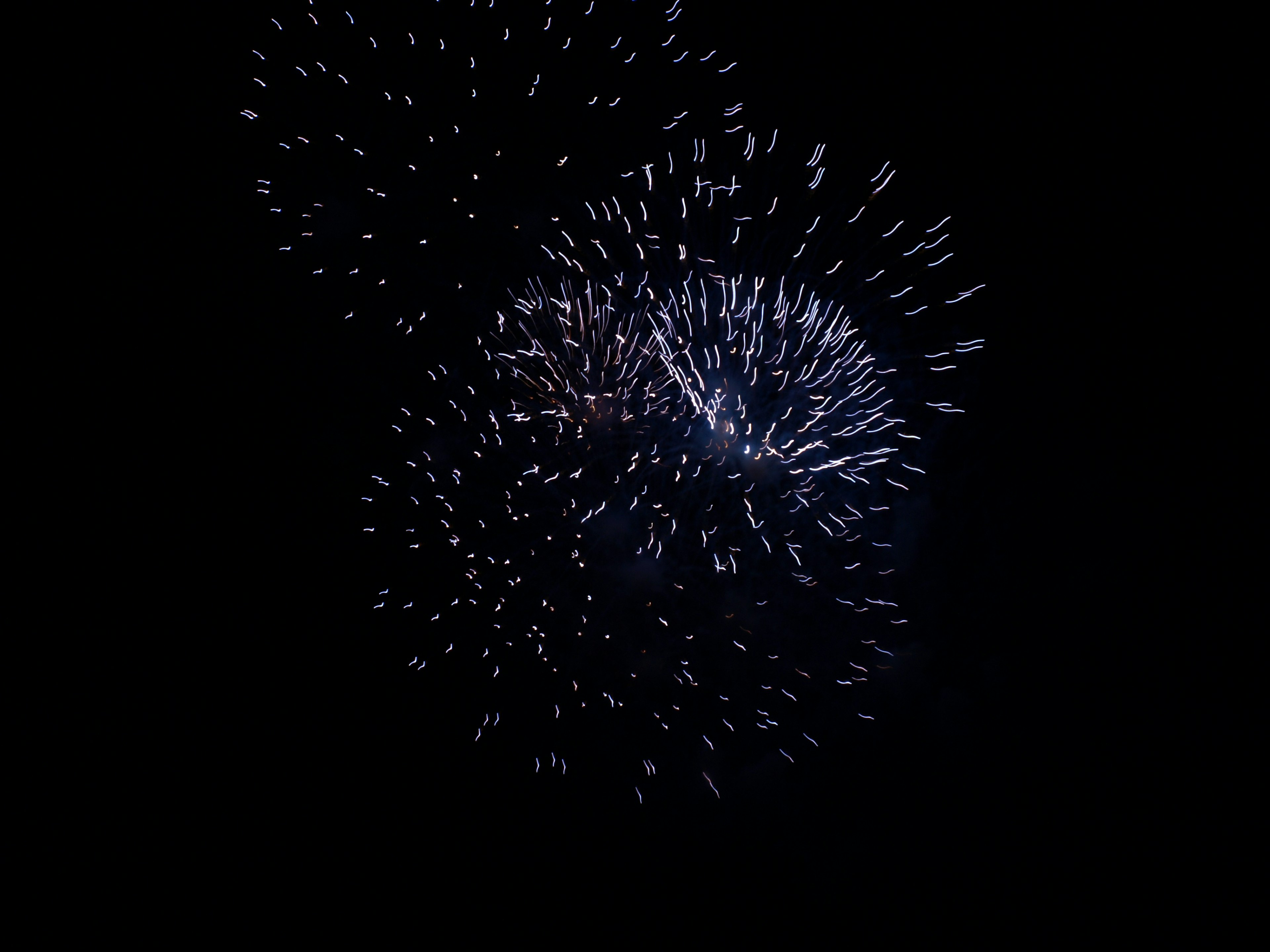 Beaux motifs de feux d'artifice se déployant dans le ciel nocturne