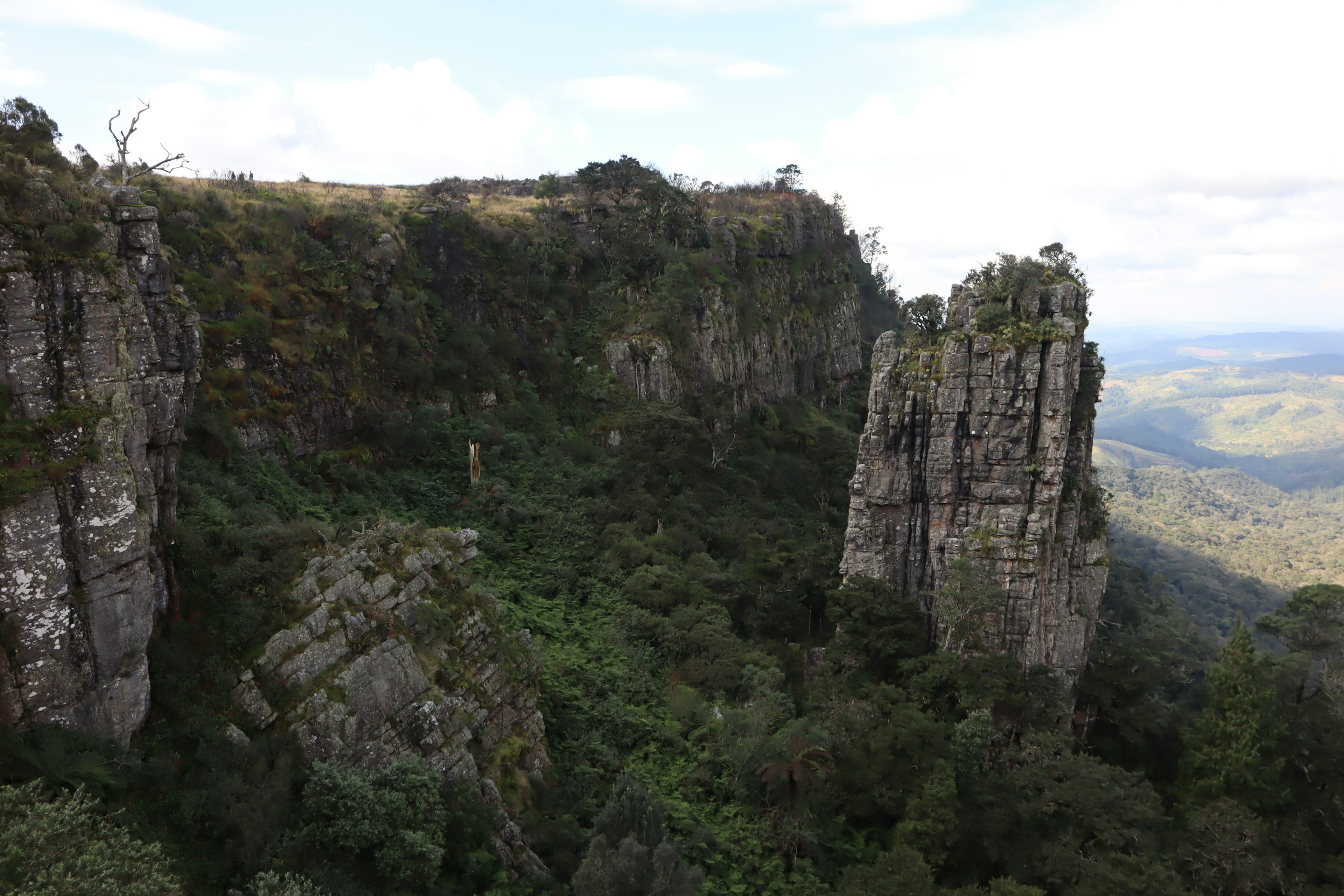 Üppige Berglandschaft mit einem hohen Felsenpfeiler