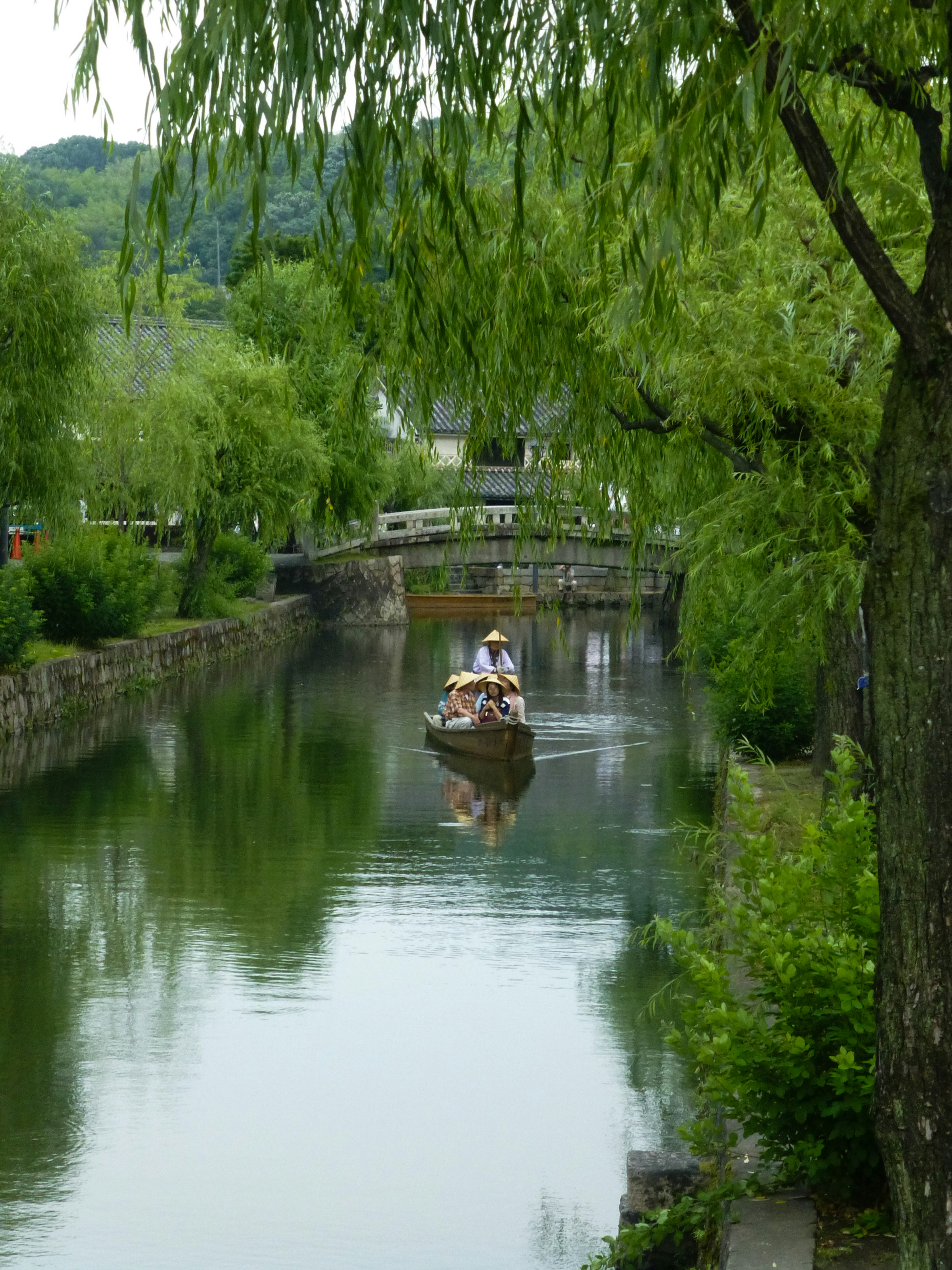 Boot auf einem üppig grünen Fluss umgeben von Bäumen