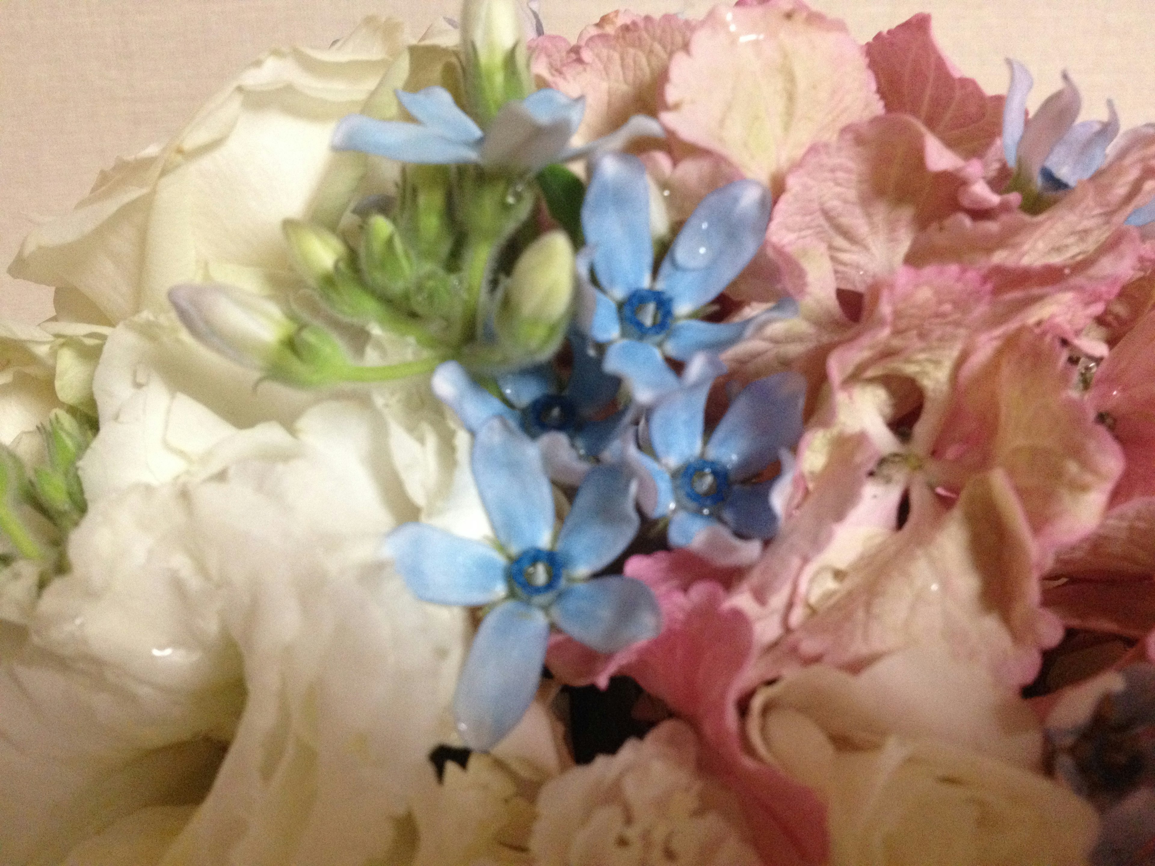 A bouquet of white and pink flowers with blue small flowers mixed in