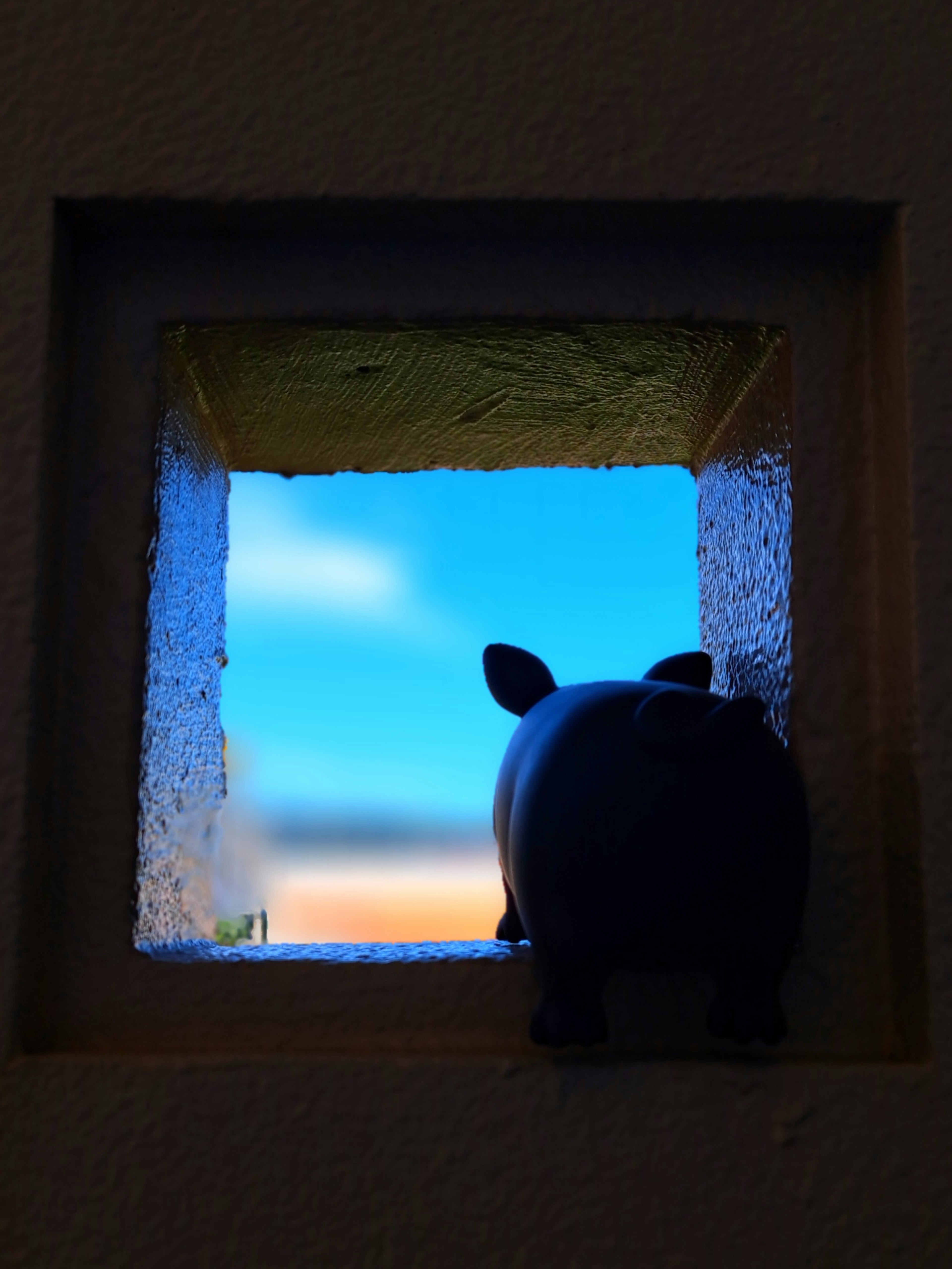 Eine schwarze Schweinefigur, die aus einem quadratischen Fenster schaut