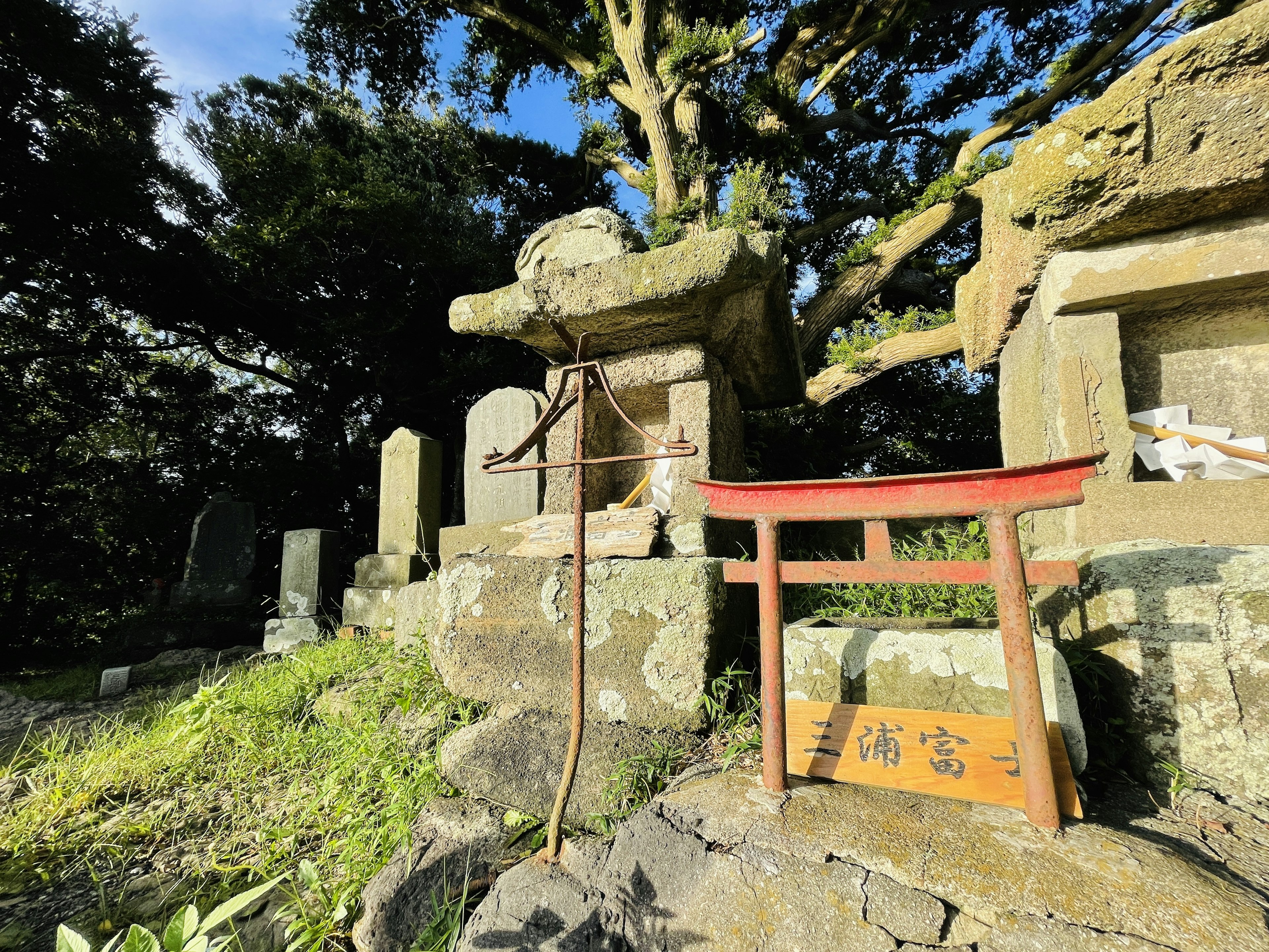 古い石の神社とお墓が並ぶ風景で、緑の草が生い茂り、赤い鳥居と石碑が特徴的