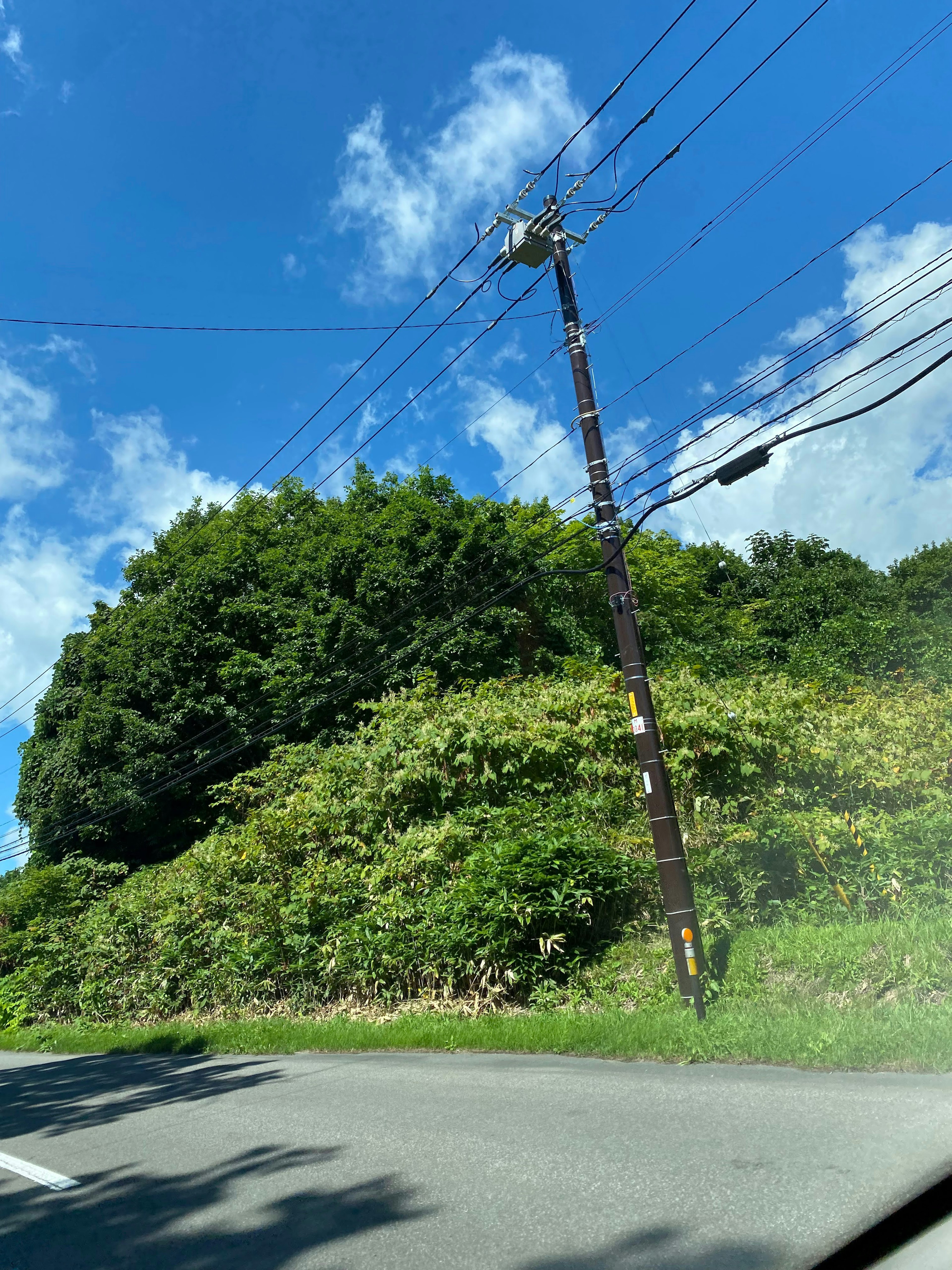 Paisaje con un poste de servicio y vegetación exuberante bajo un cielo azul