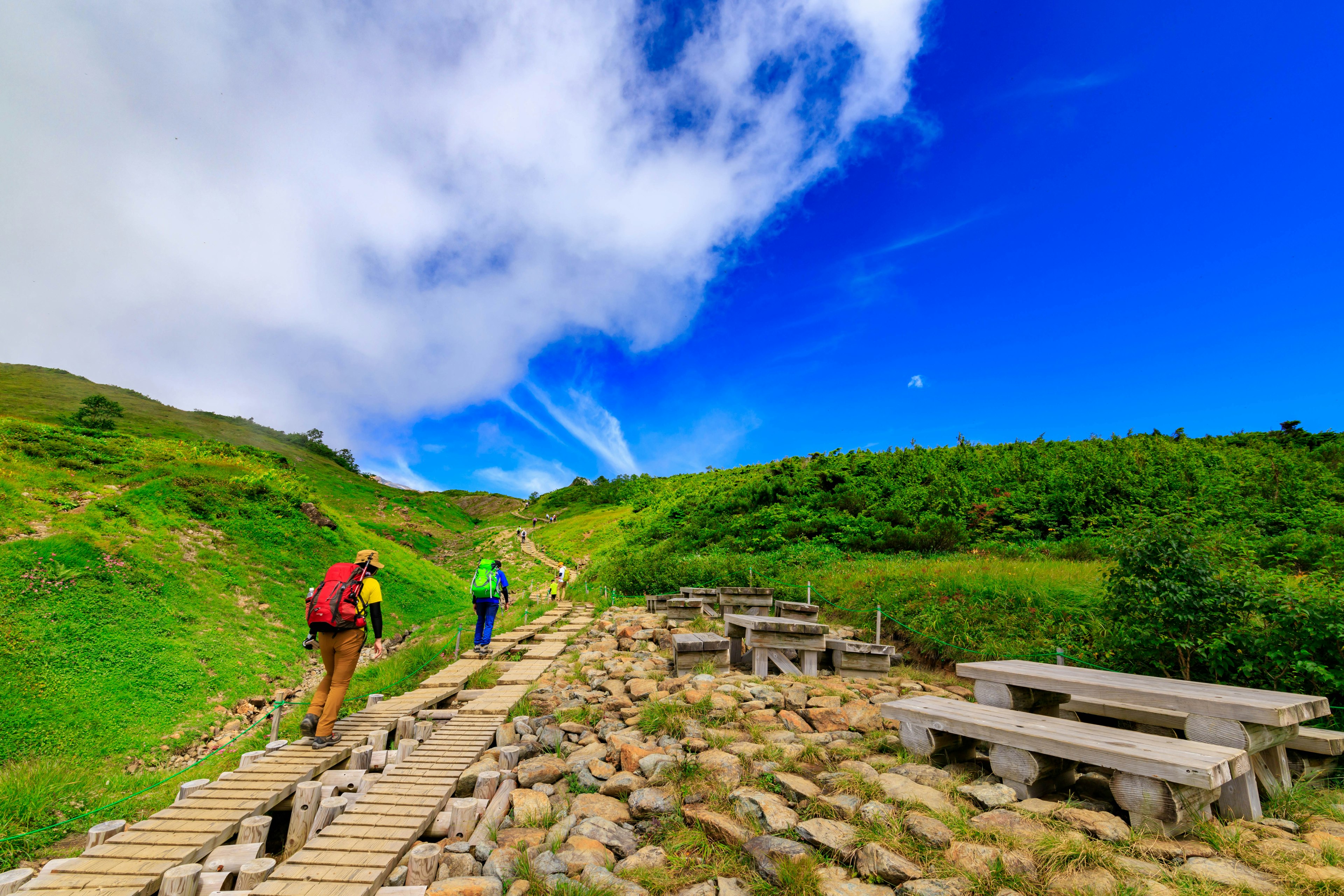 Two hikers walking on a wooden path through lush greenery under a blue sky