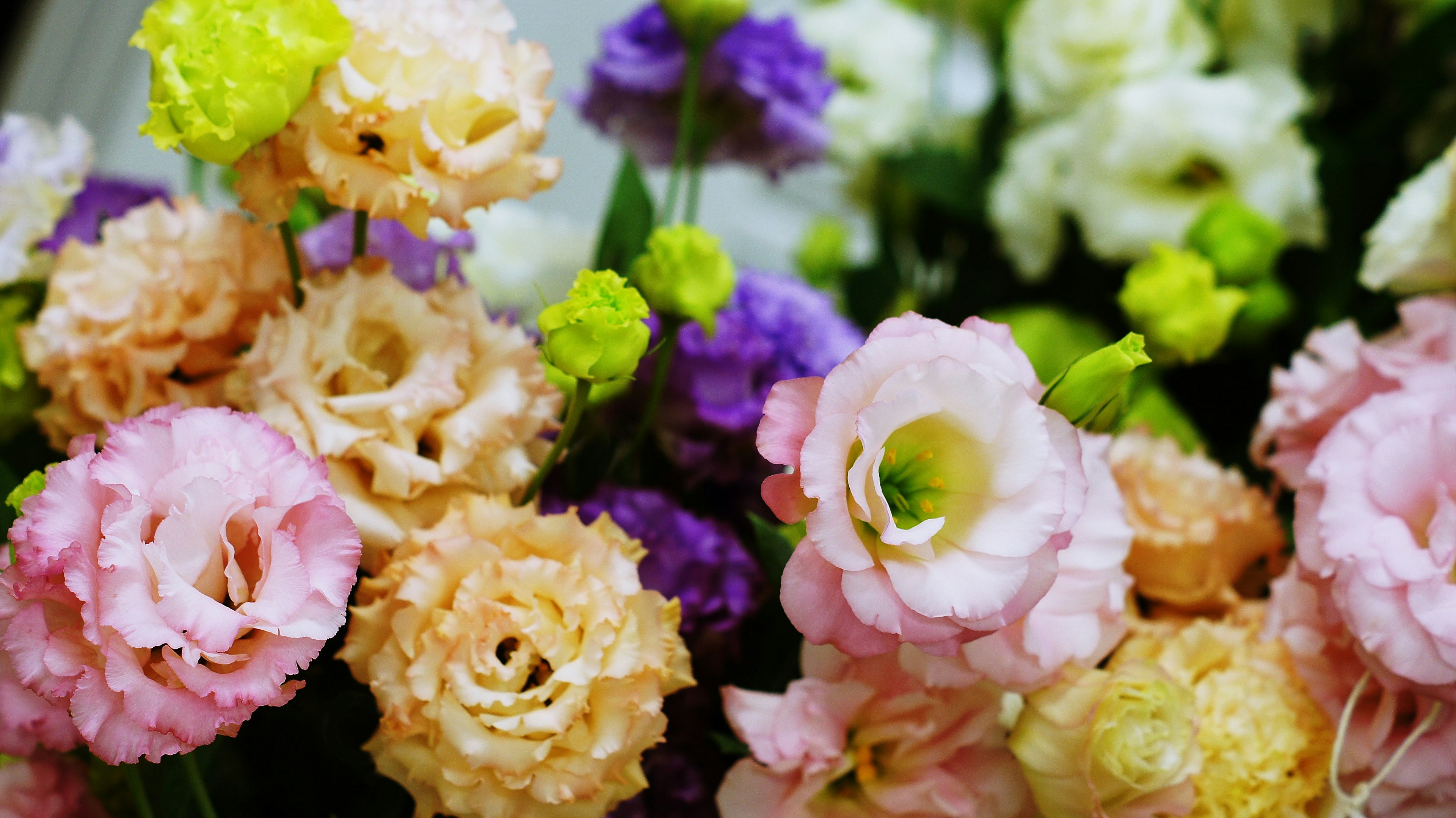 Un beau bouquet avec un mélange de fleurs colorées