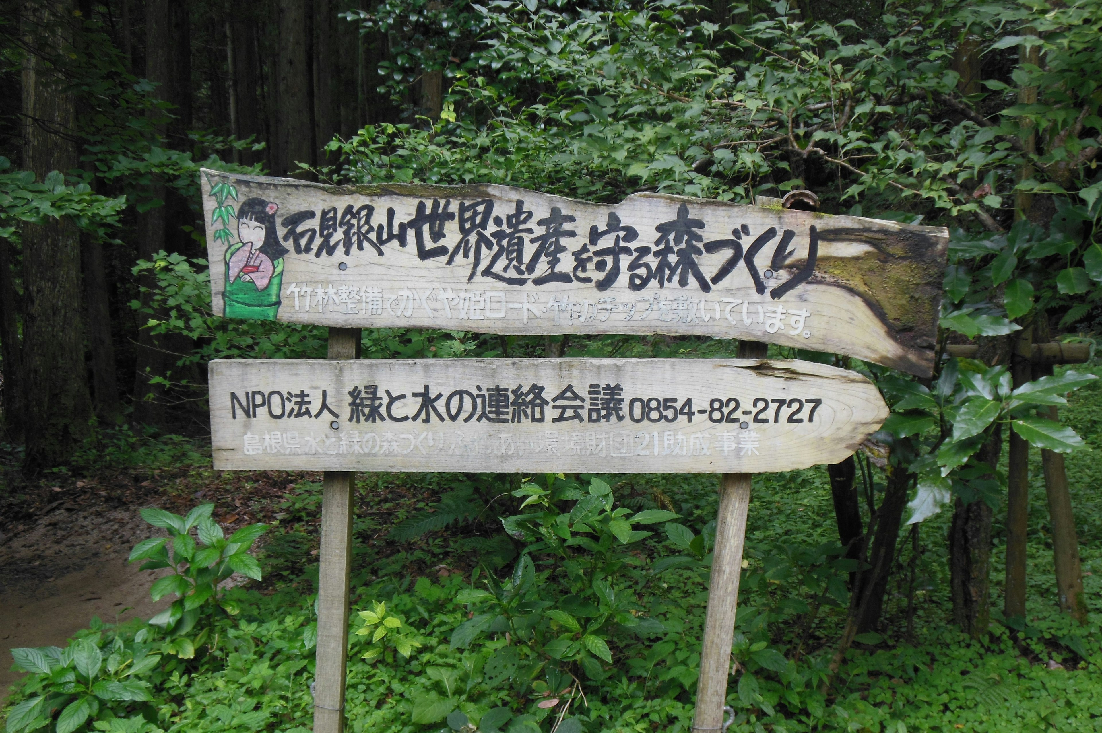 Cartel de madera en un bosque que destaca la importancia de la conservación de la naturaleza