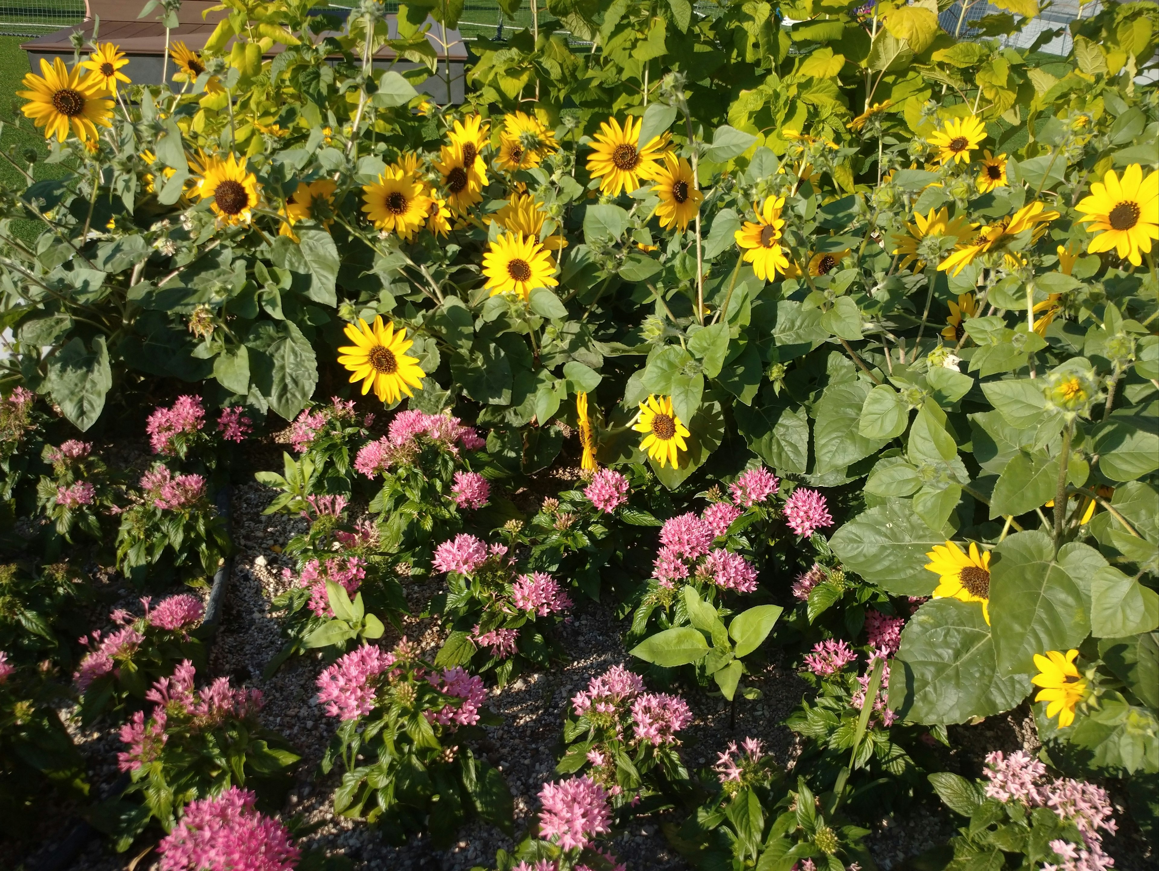photo-EmrpA3nJSU80hfV95hY1-image