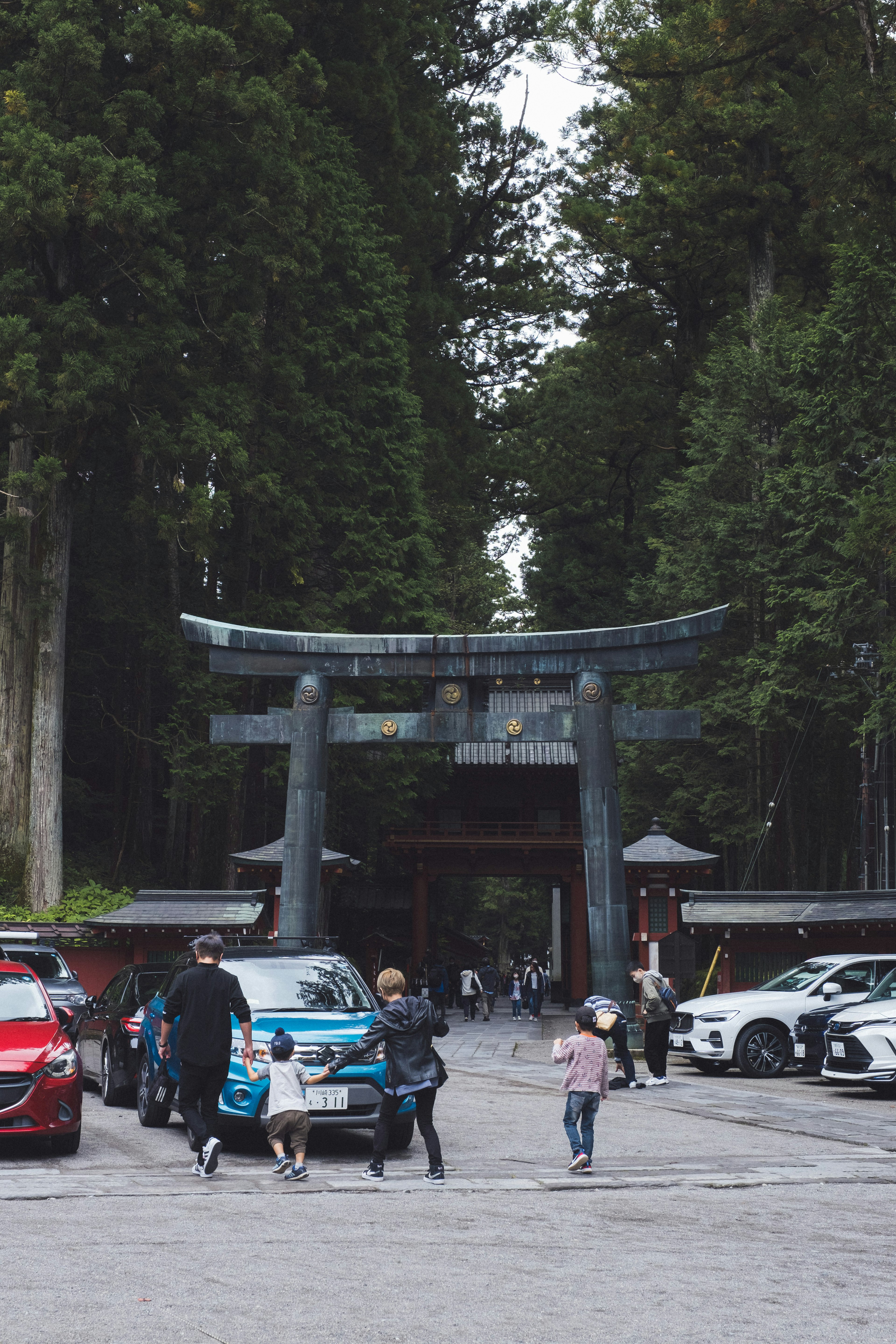 一幅生动的场景，展示了一个大型鸟居和周围的树木