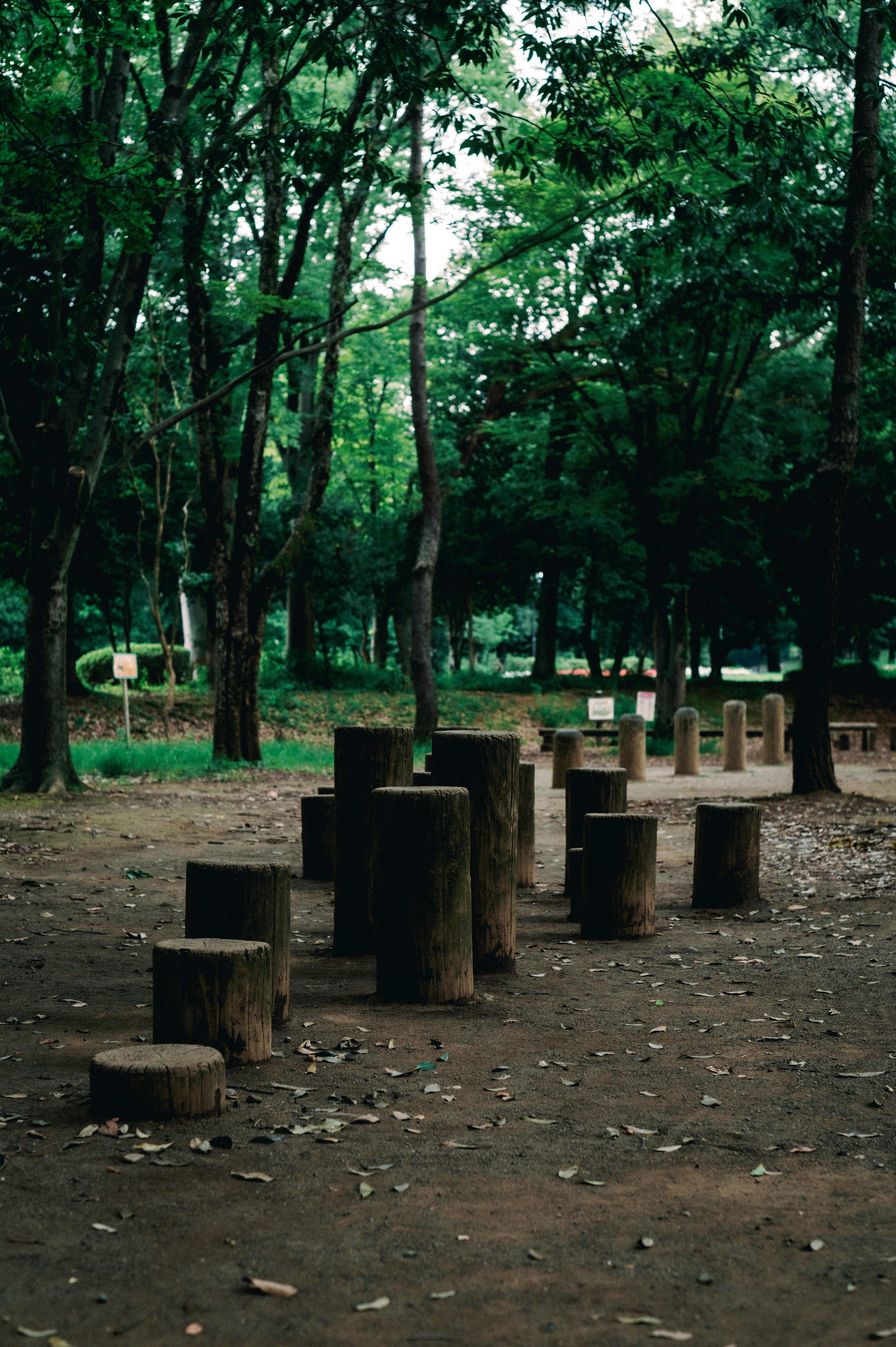 緑の木々に囲まれた公園の中の木製の丸太のベンチ