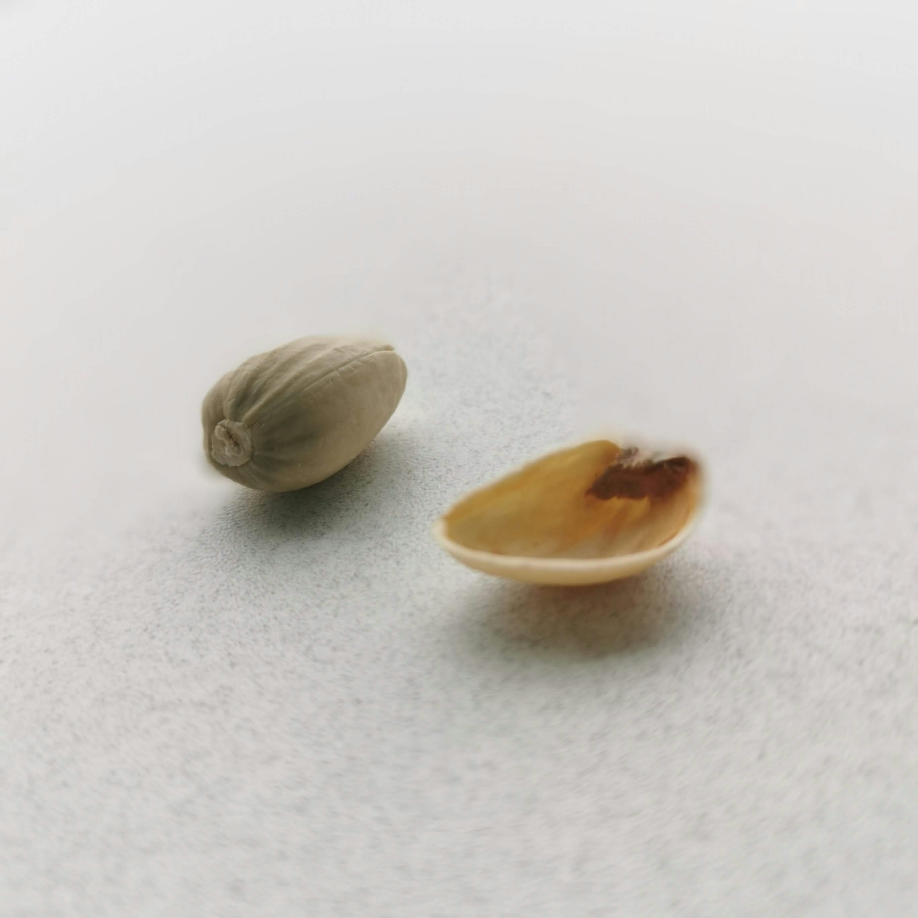 Two seeds placed next to each other on a light background