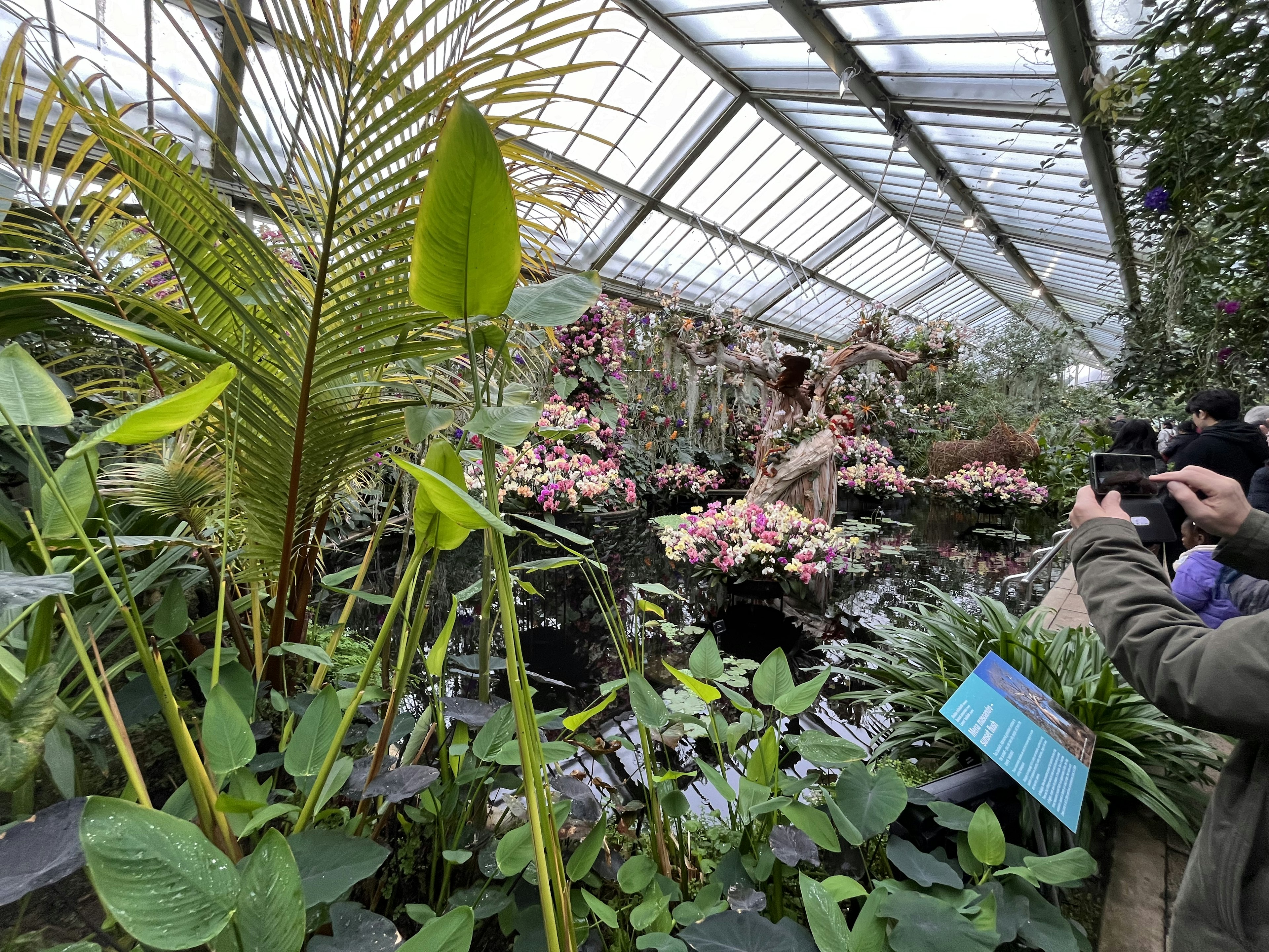 温室内の緑豊かな植物と色とりどりの花々を背景に写真を撮る人々