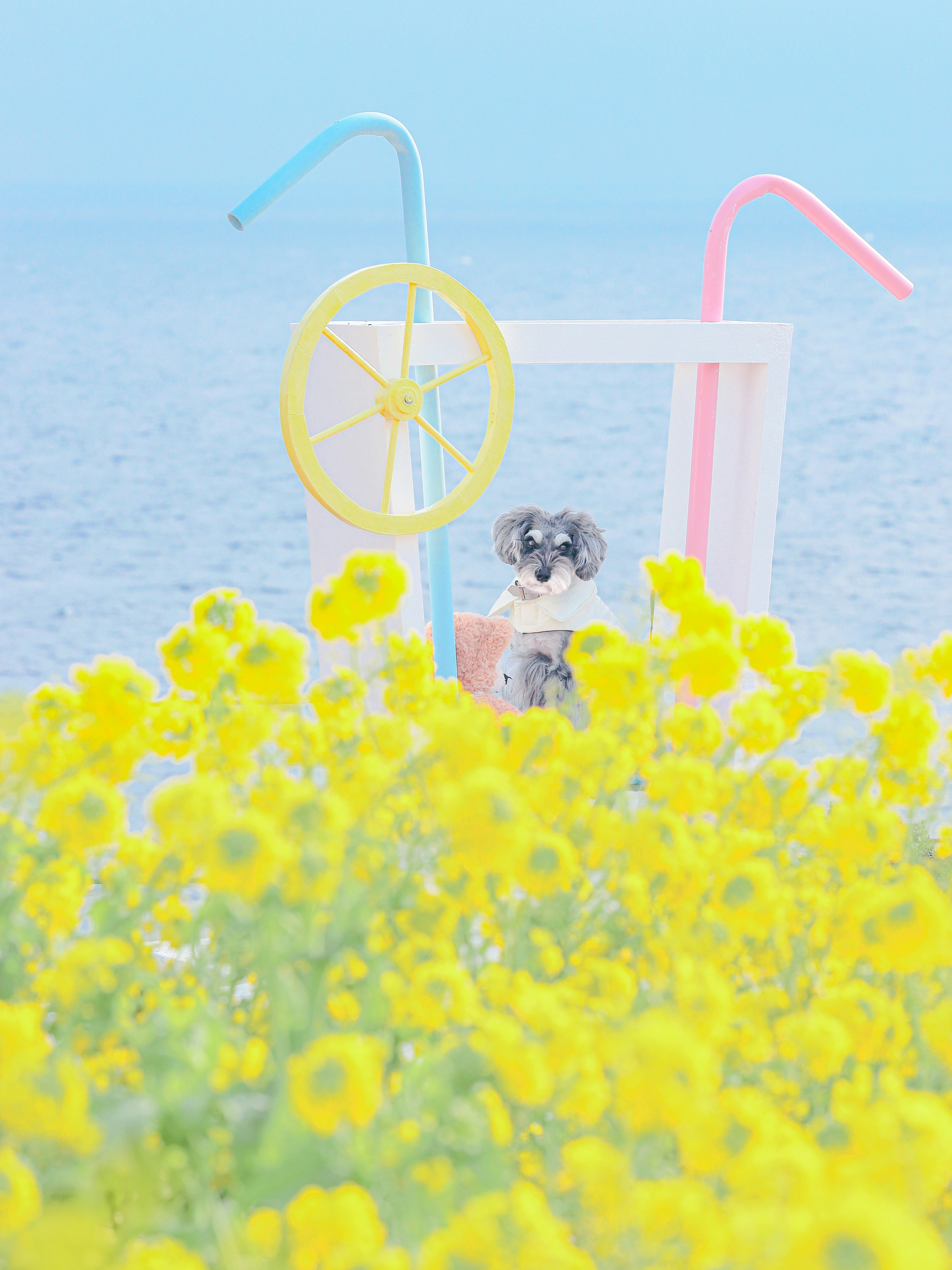 Scene with yellow flowers and colorful straws against a seaside background