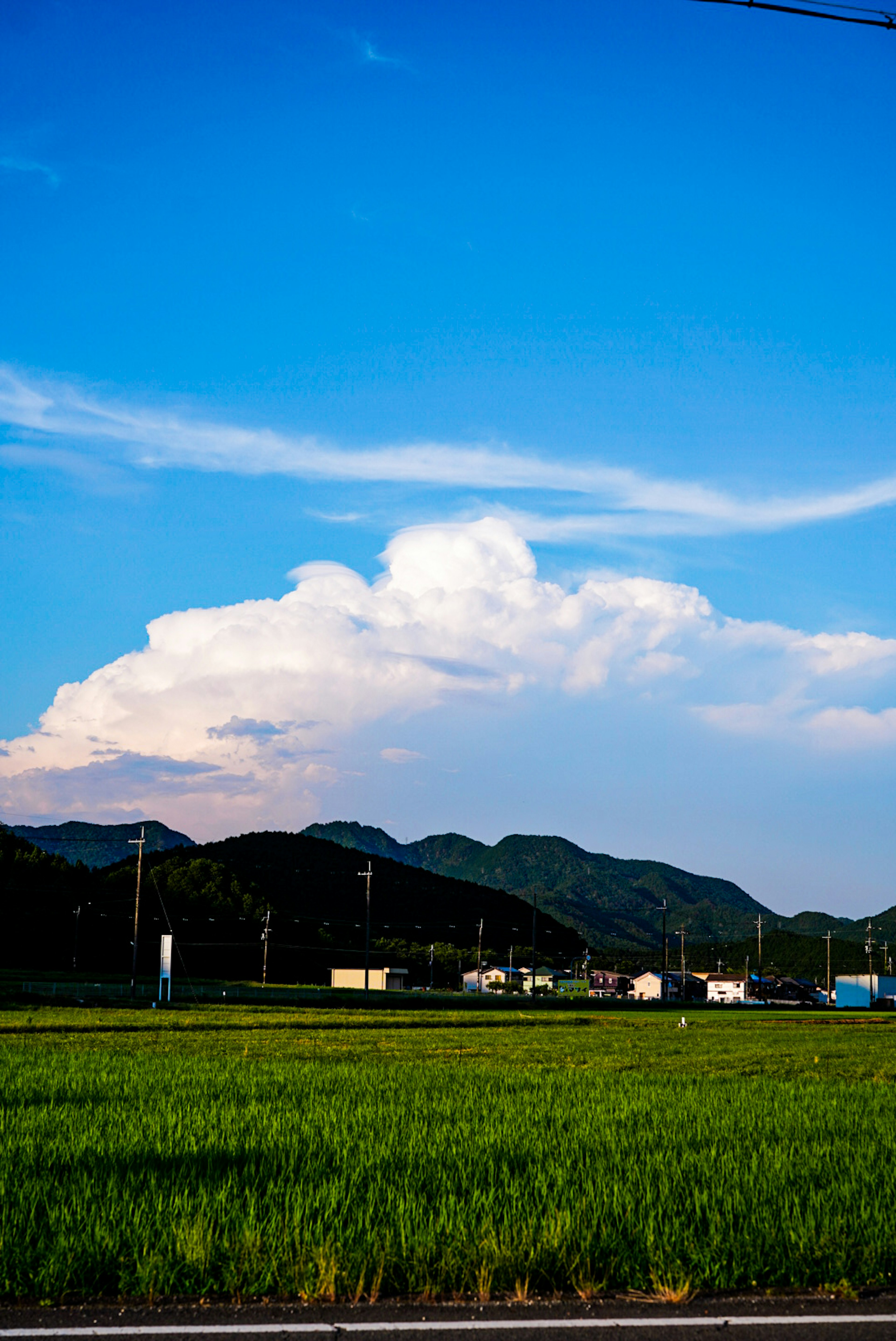 青い空と白い雲が広がる風景 緑の稲が生い茂る田んぼと山々が見える