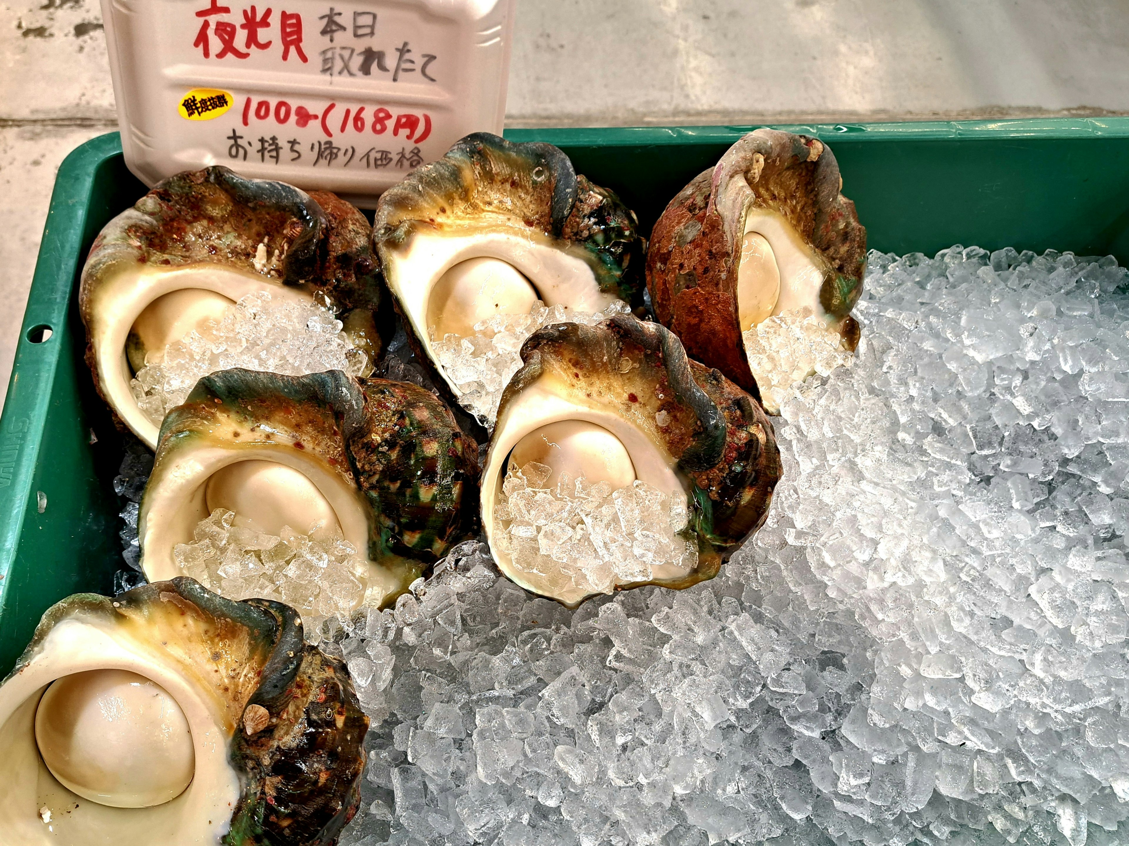 Fresh shells of seafood placed on ice with a Japanese price tag