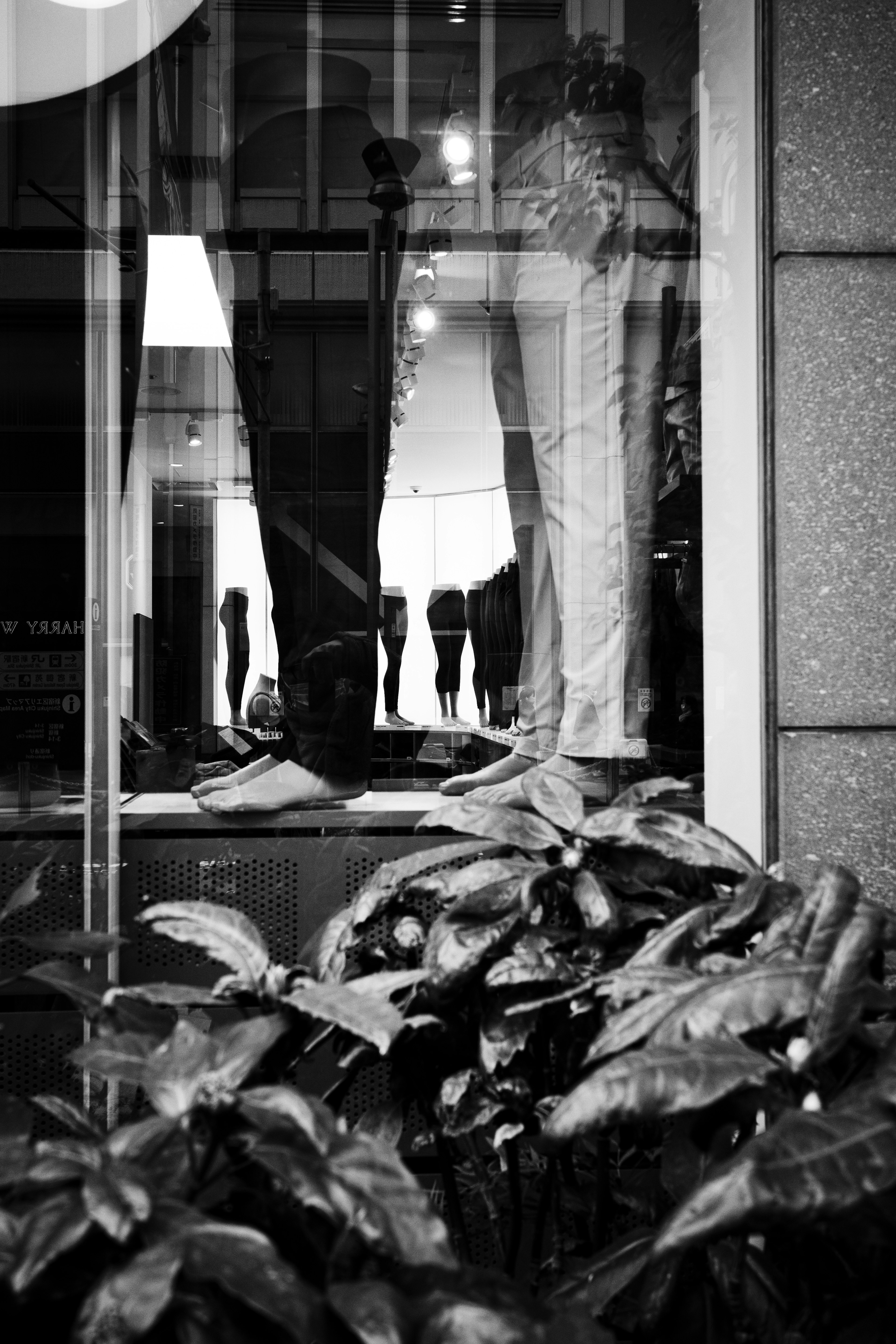 Silhouettes de mannequins et de plantes réfléchies dans une vitrine en noir et blanc