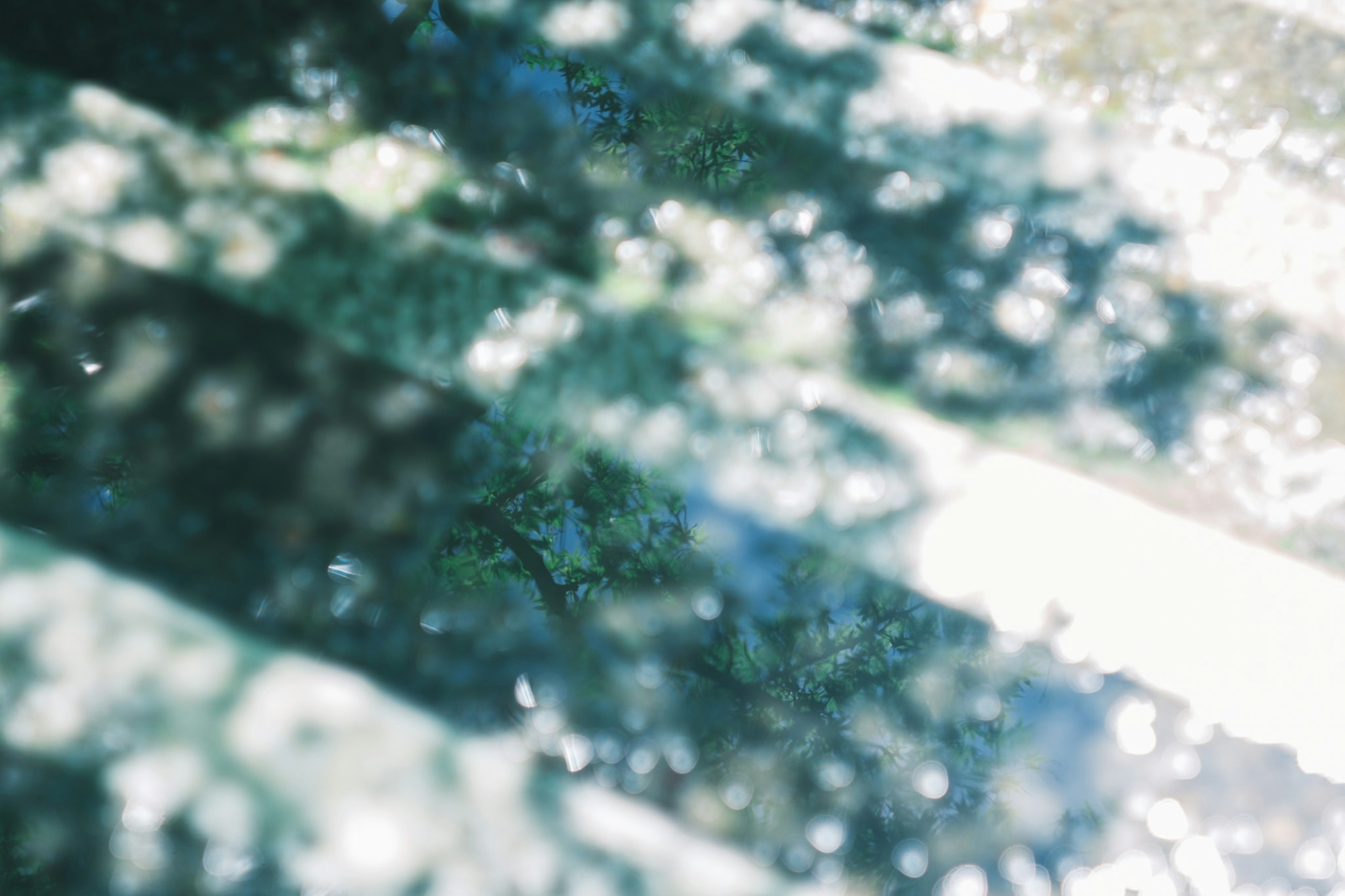 Diagonal stripes of light and shadow cast by green leaves