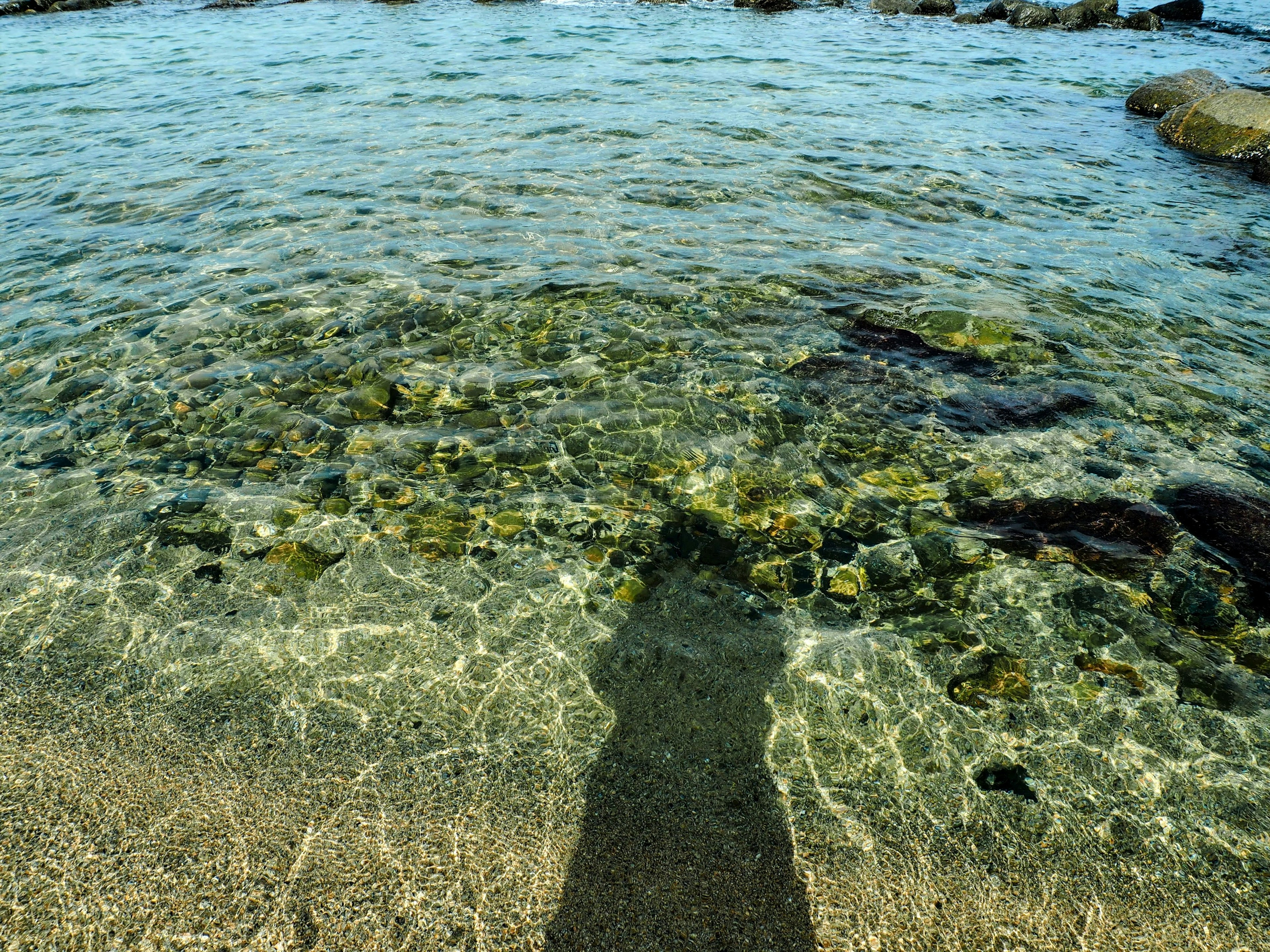 Shadow reflected in clear water revealing rocks and seaweed