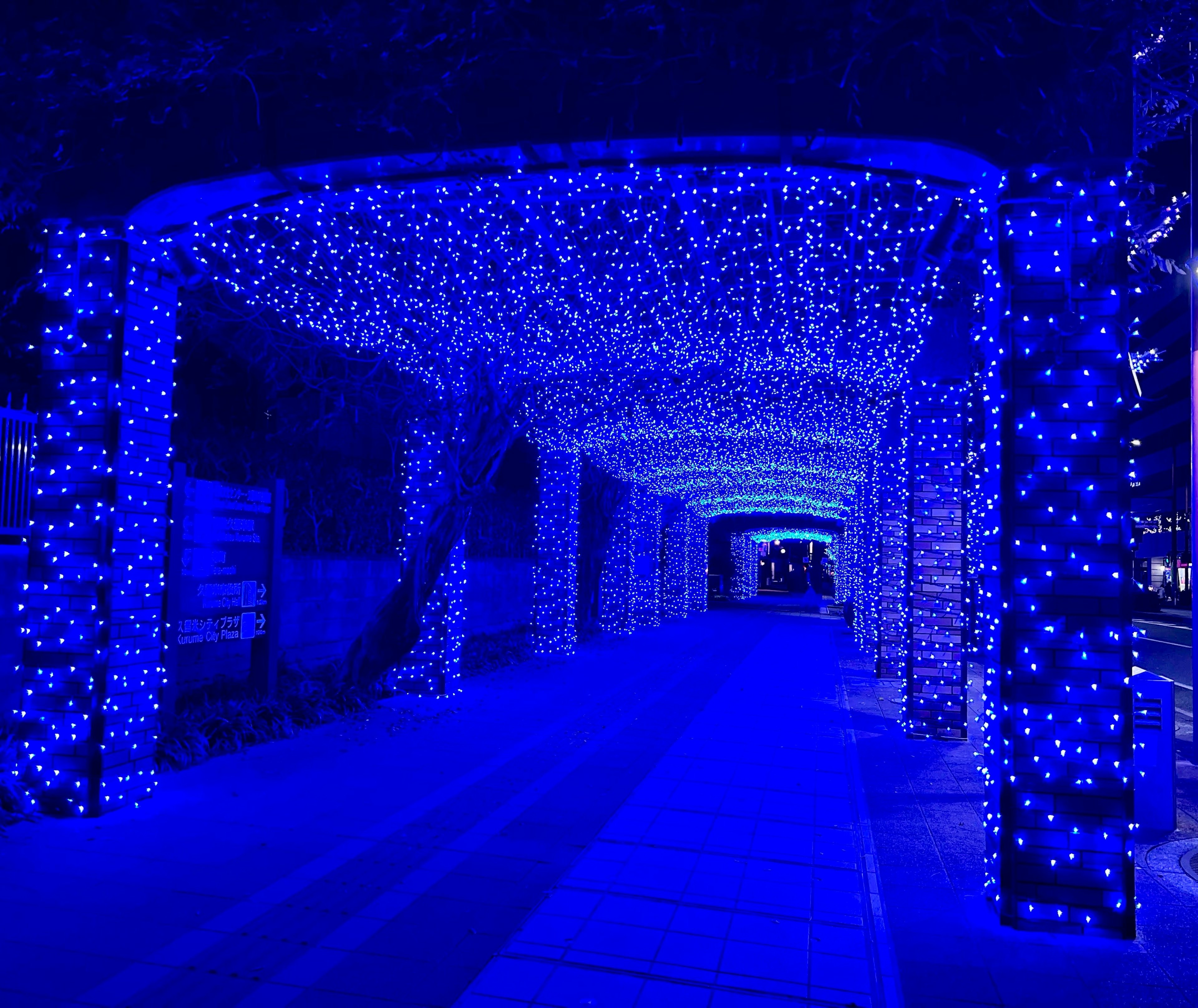 Tunnel mit blauen Lichtern dekoriert, der einen atemberaubenden visuellen Effekt erzeugt