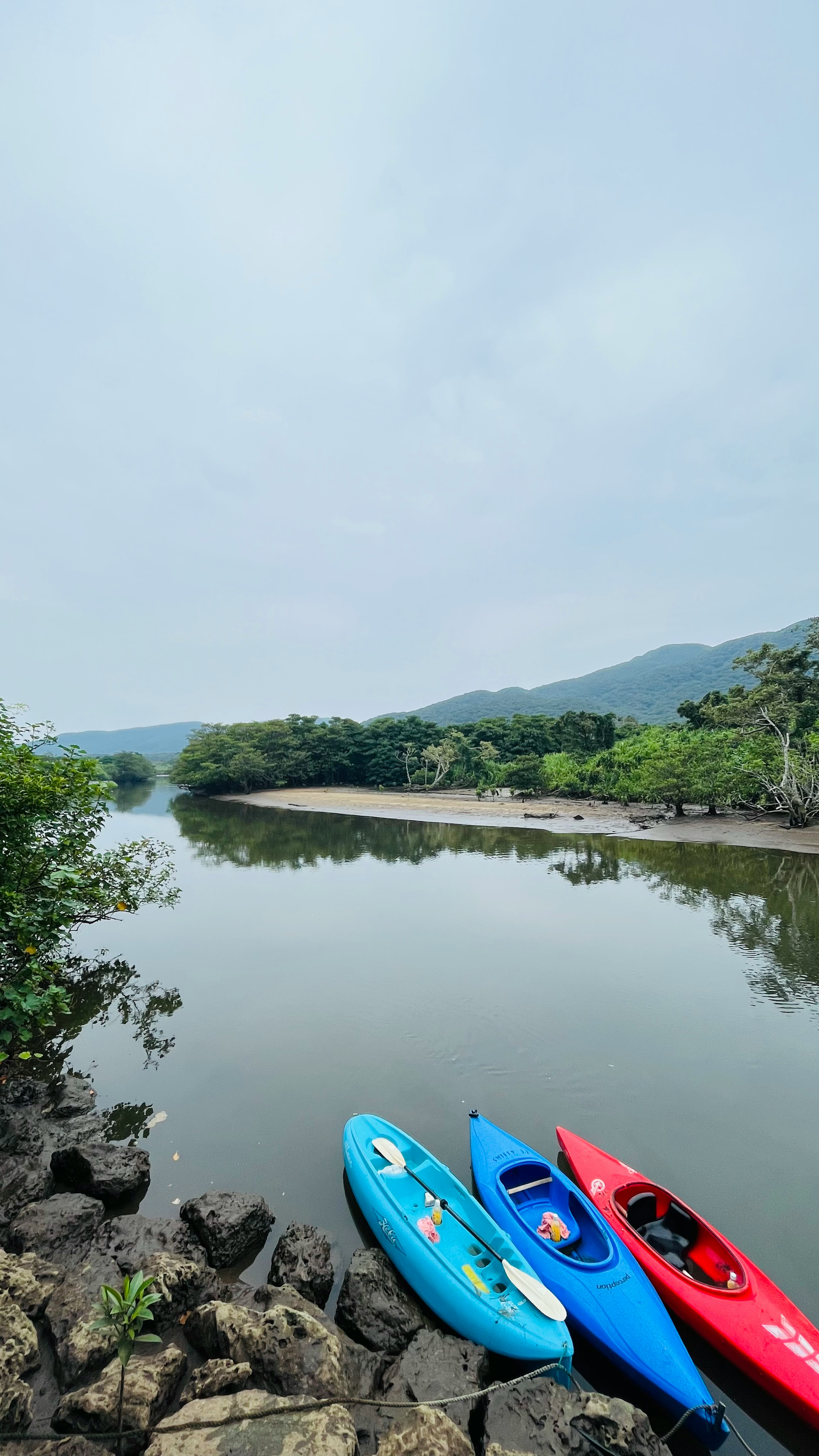 静かな川に浮かぶカヤックと緑の風景