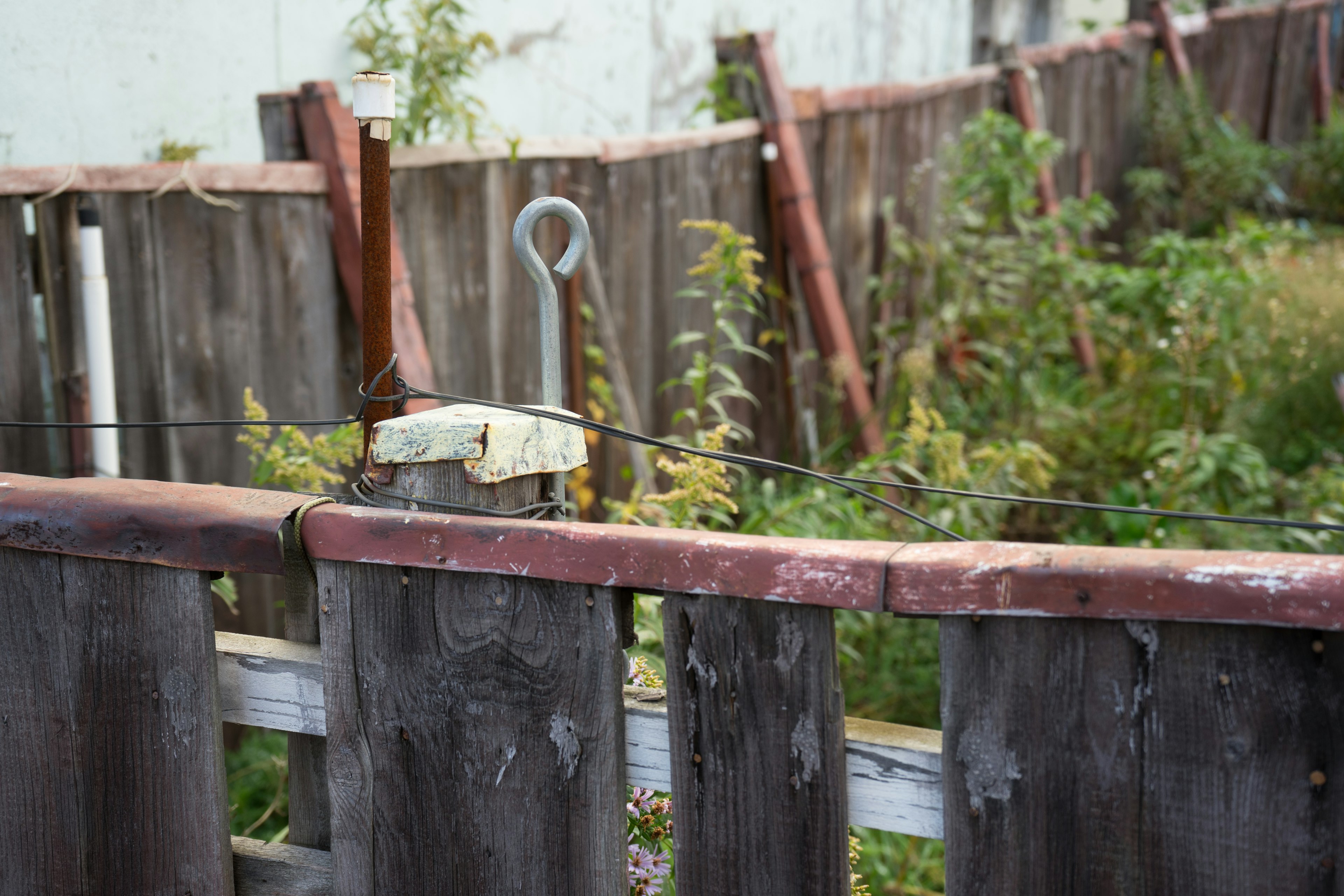 Ancienne clôture en bois avec des mauvaises herbes envahissantes dans une zone de jardin