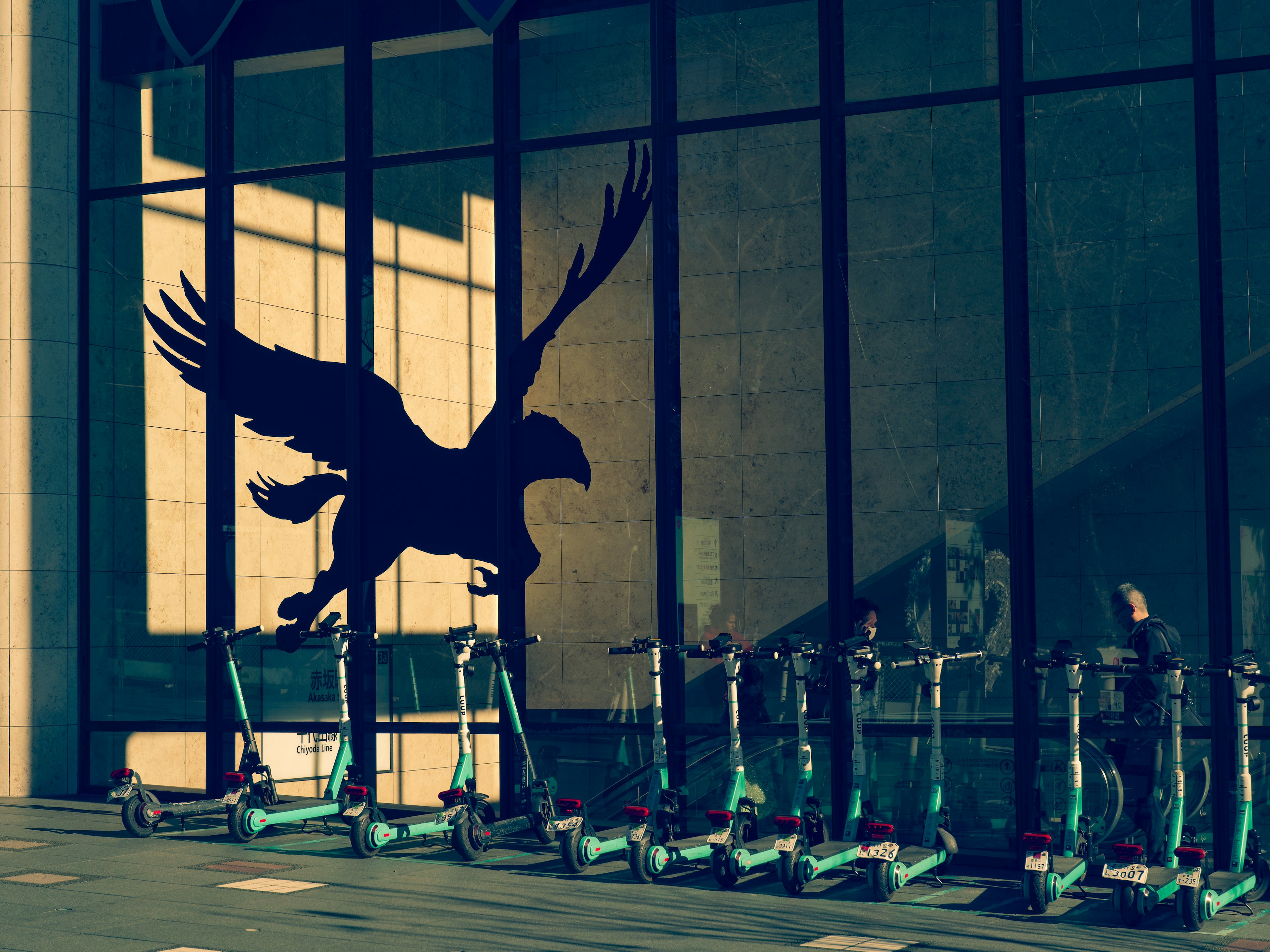 Silhouette of a large eagle on a glass wall with electric scooters lined up in front