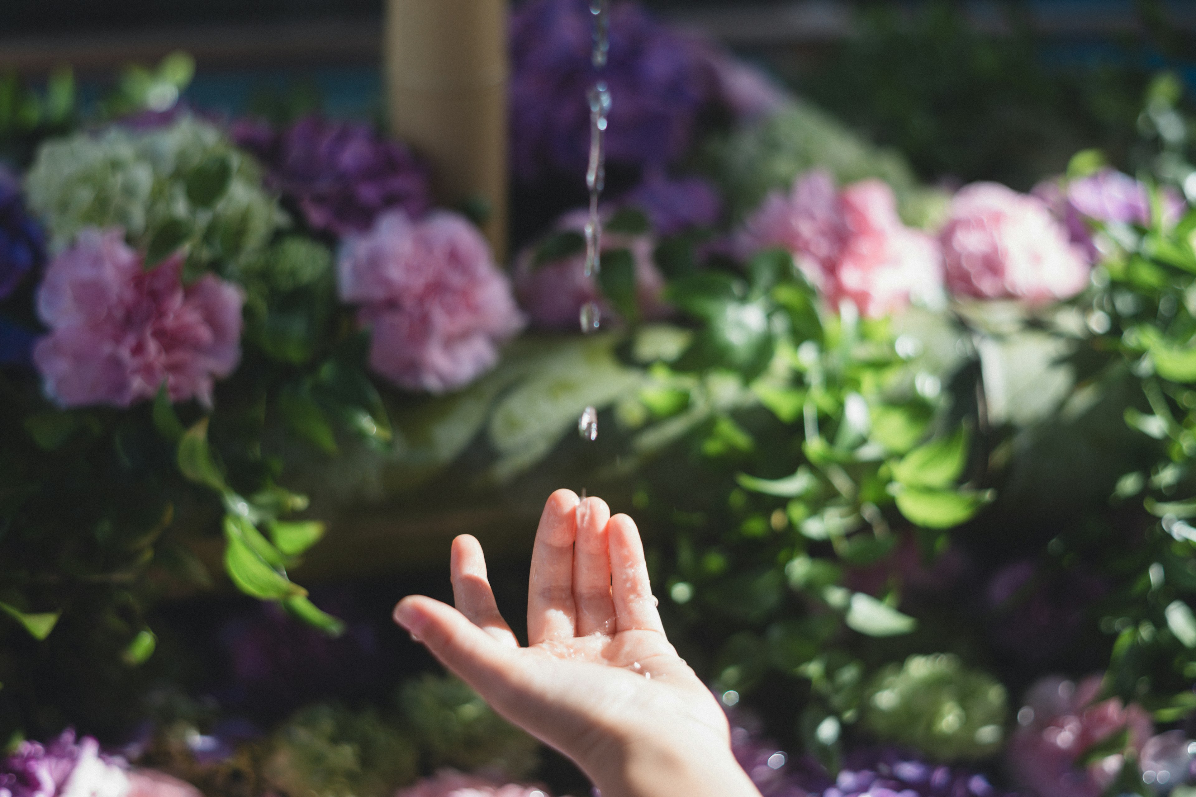 A hand catching falling water droplets with colorful flowers in the background