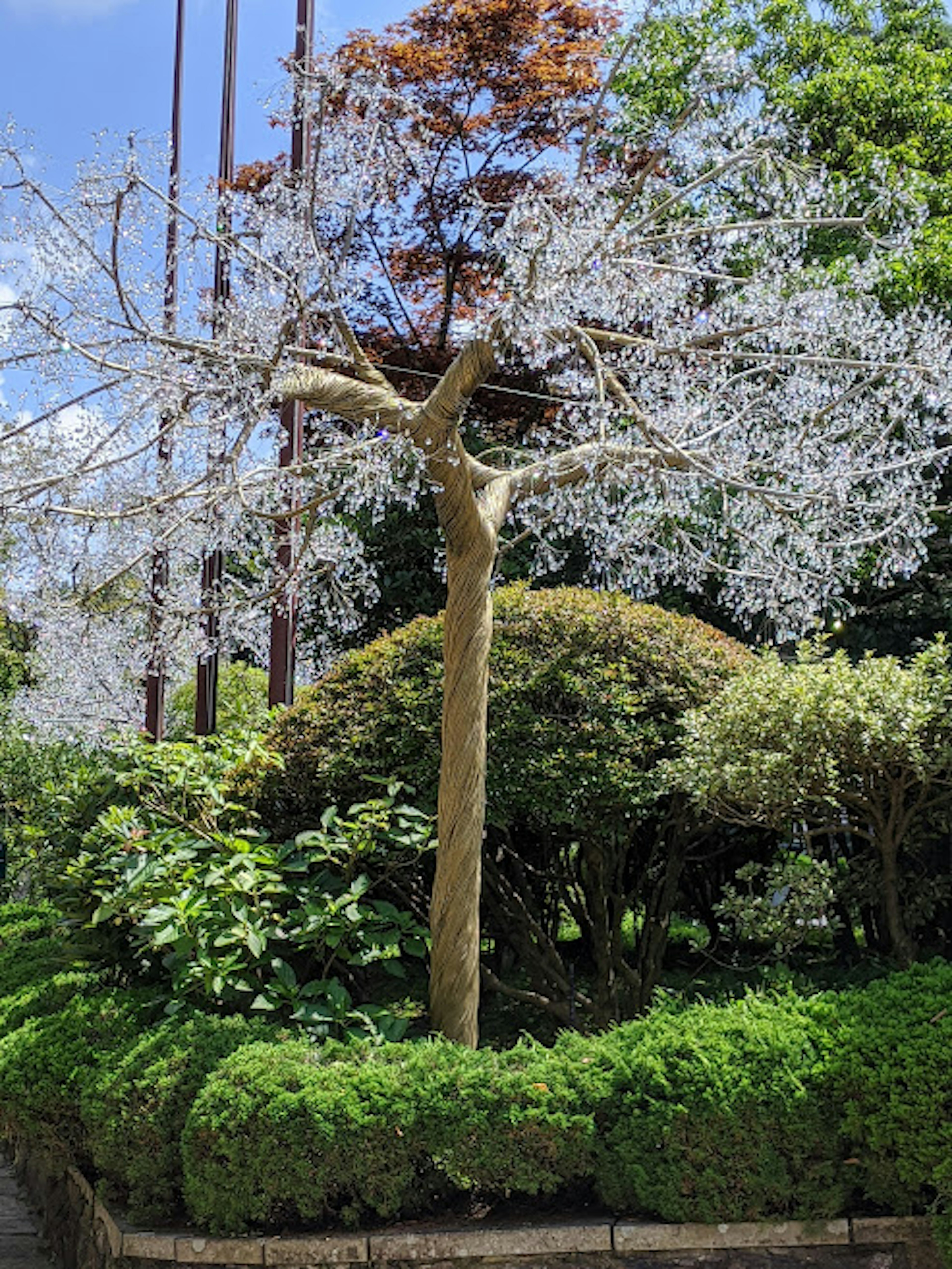 白い花が咲く美しい木と緑の植栽がある庭の景色