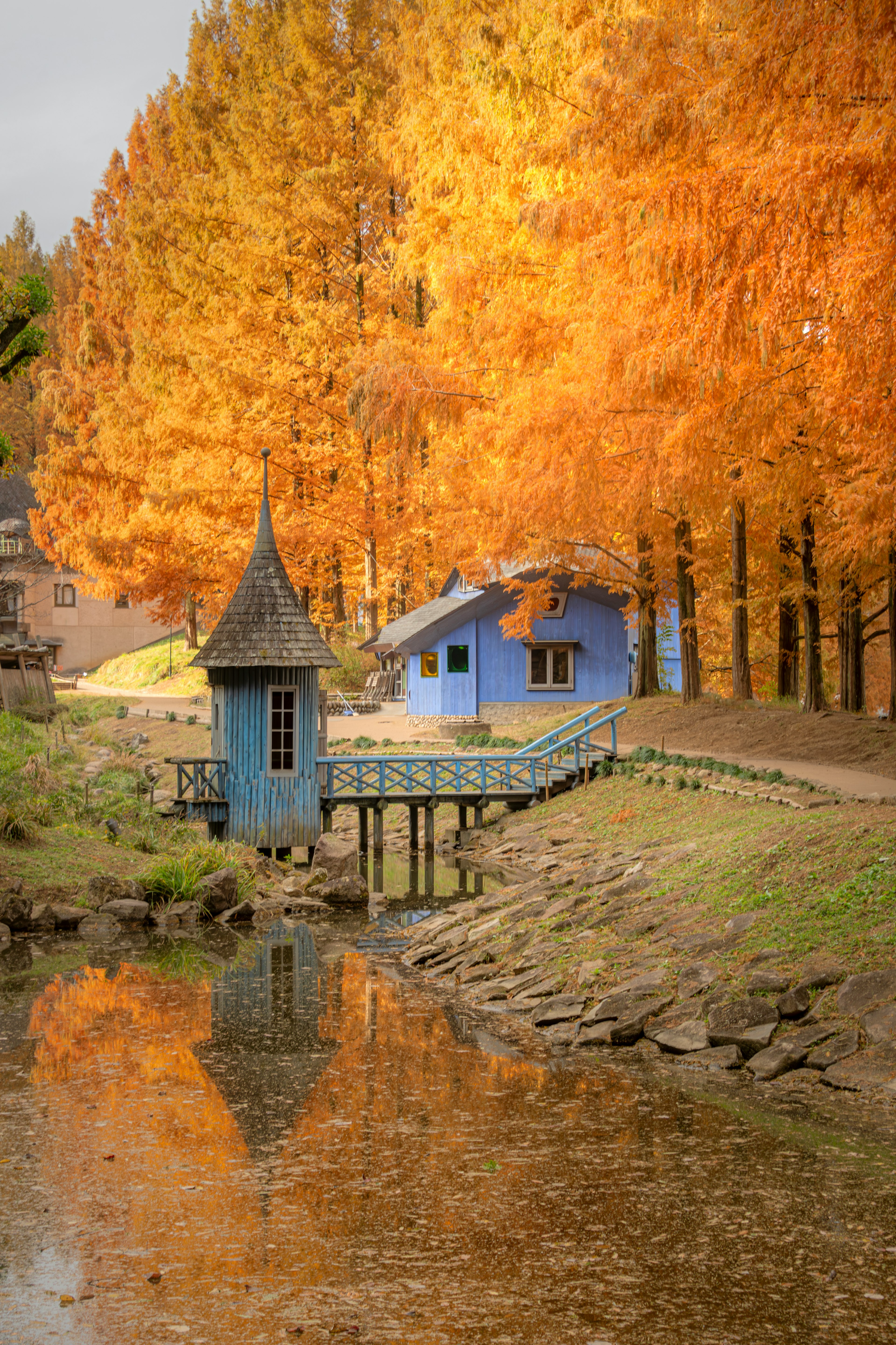 Eine ruhige Landschaft mit orangefarbenen Herbstbäumen und einem blauen Ferienhaus